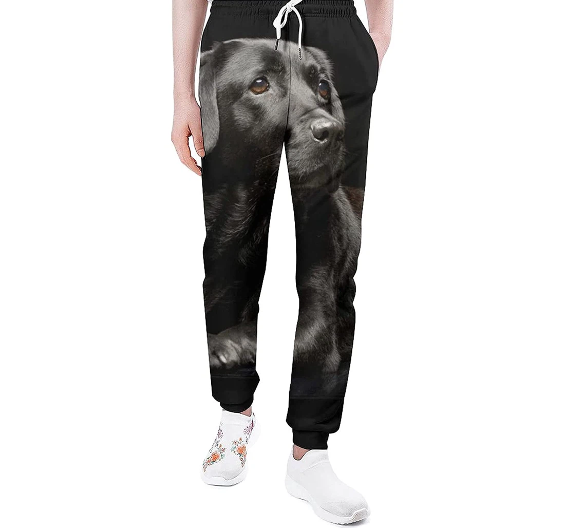 Personalized Labrador Dog Sweatpants, Joggers Pants With Drawstring For Men, Women