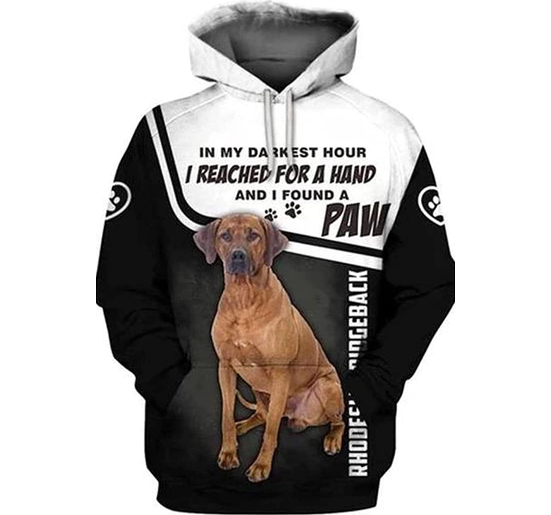 Labrador When I Needed A Hand I Found A Paw - 3D Printed Pullover Hoodie