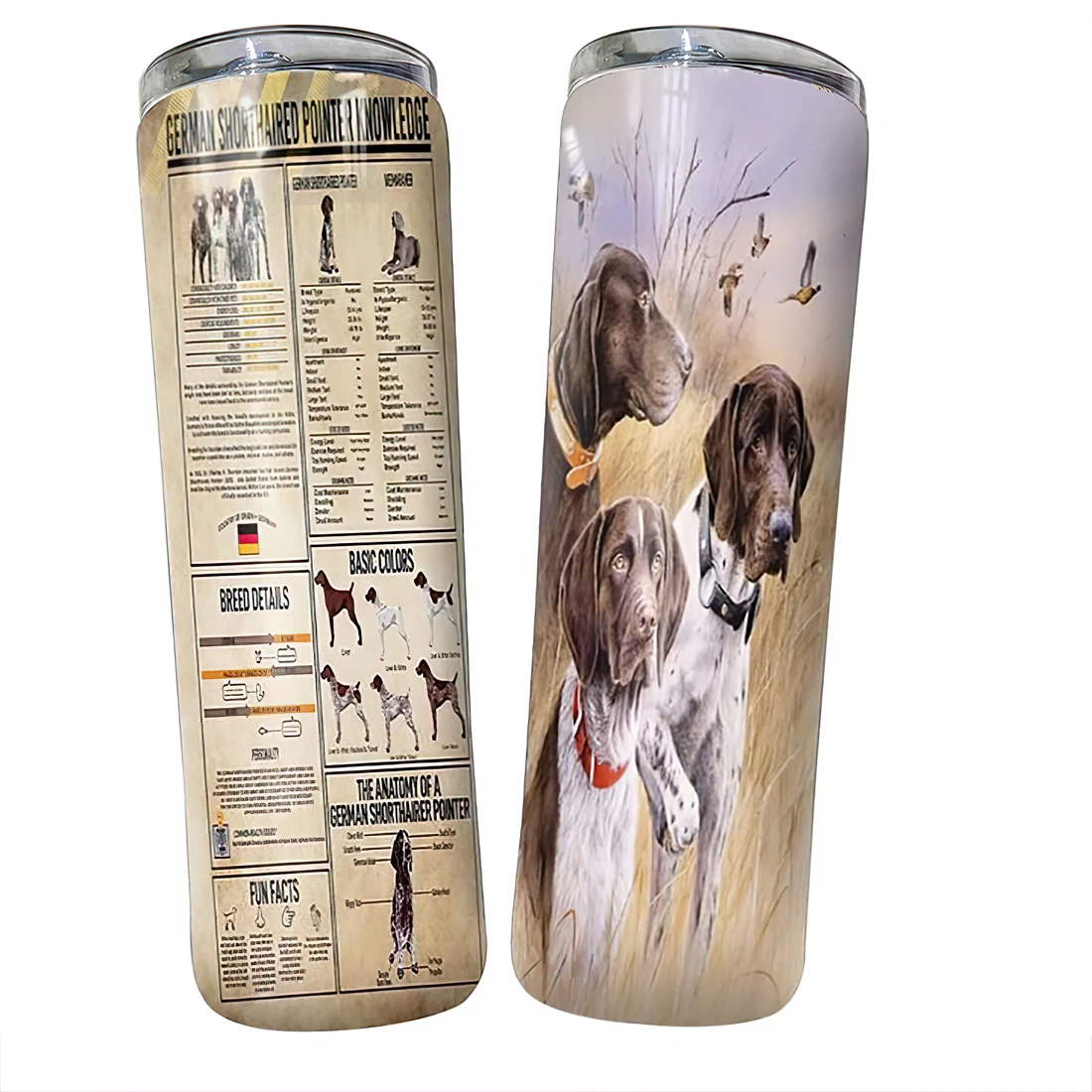 Personalized Name Dog German Shorthaired Knowledge Tumbler 17oz With Lid And Straw