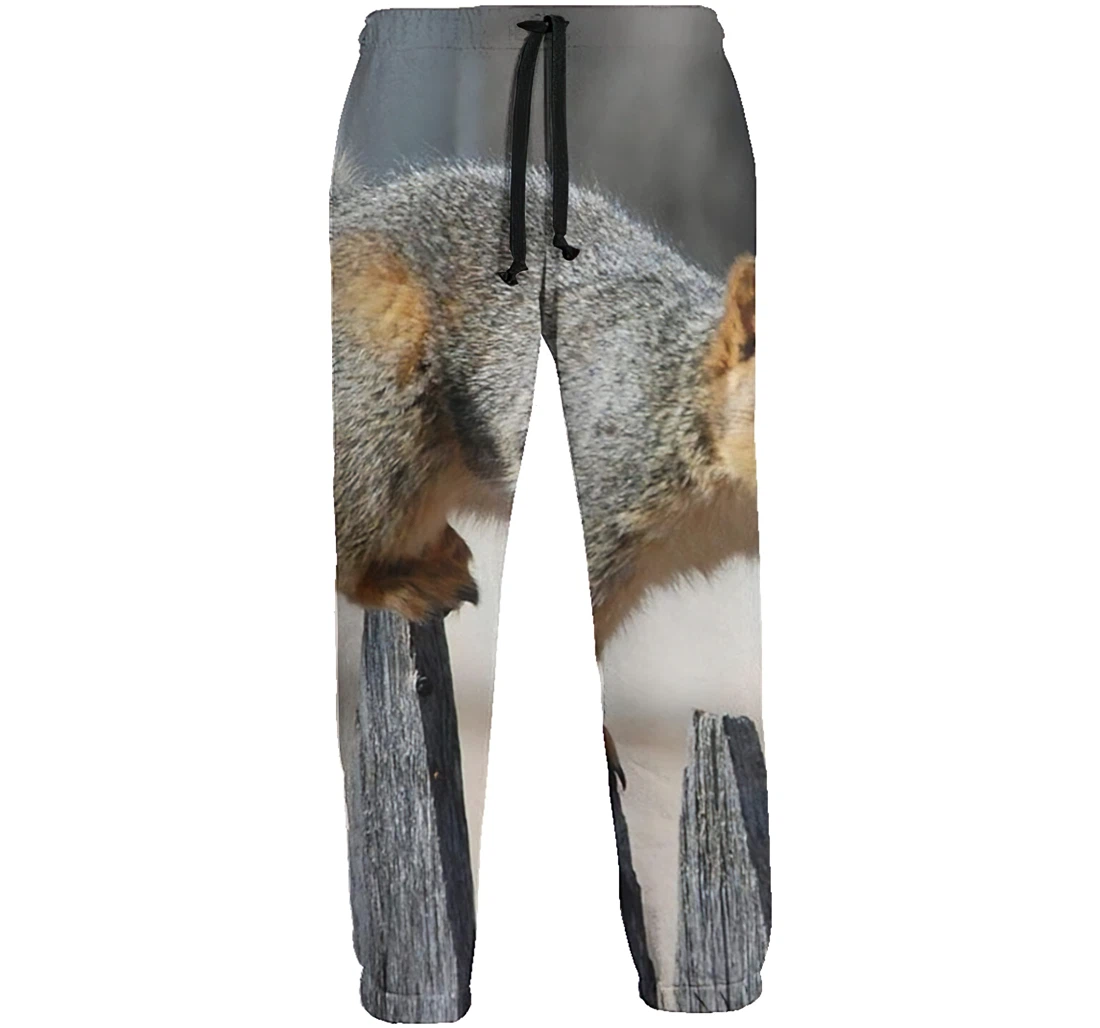 The Squirrel On The Fence Menwomen Sweatpants Funny Joggers Pants Sports Trousers With Drawstring Sweatpant