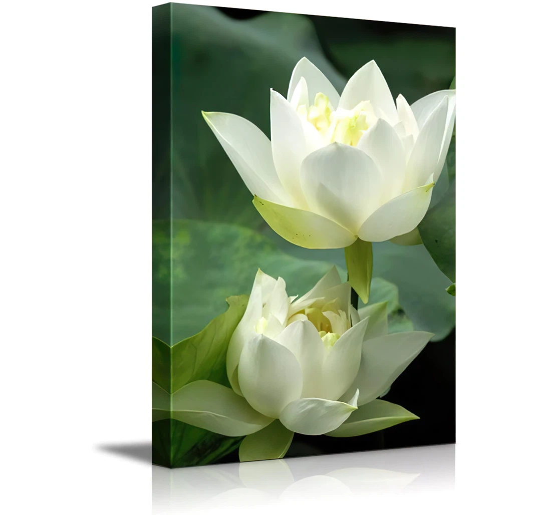 White Lotus Flower And Green Lotus Leaf Printed Poster, Framed Canvas, Wall Art