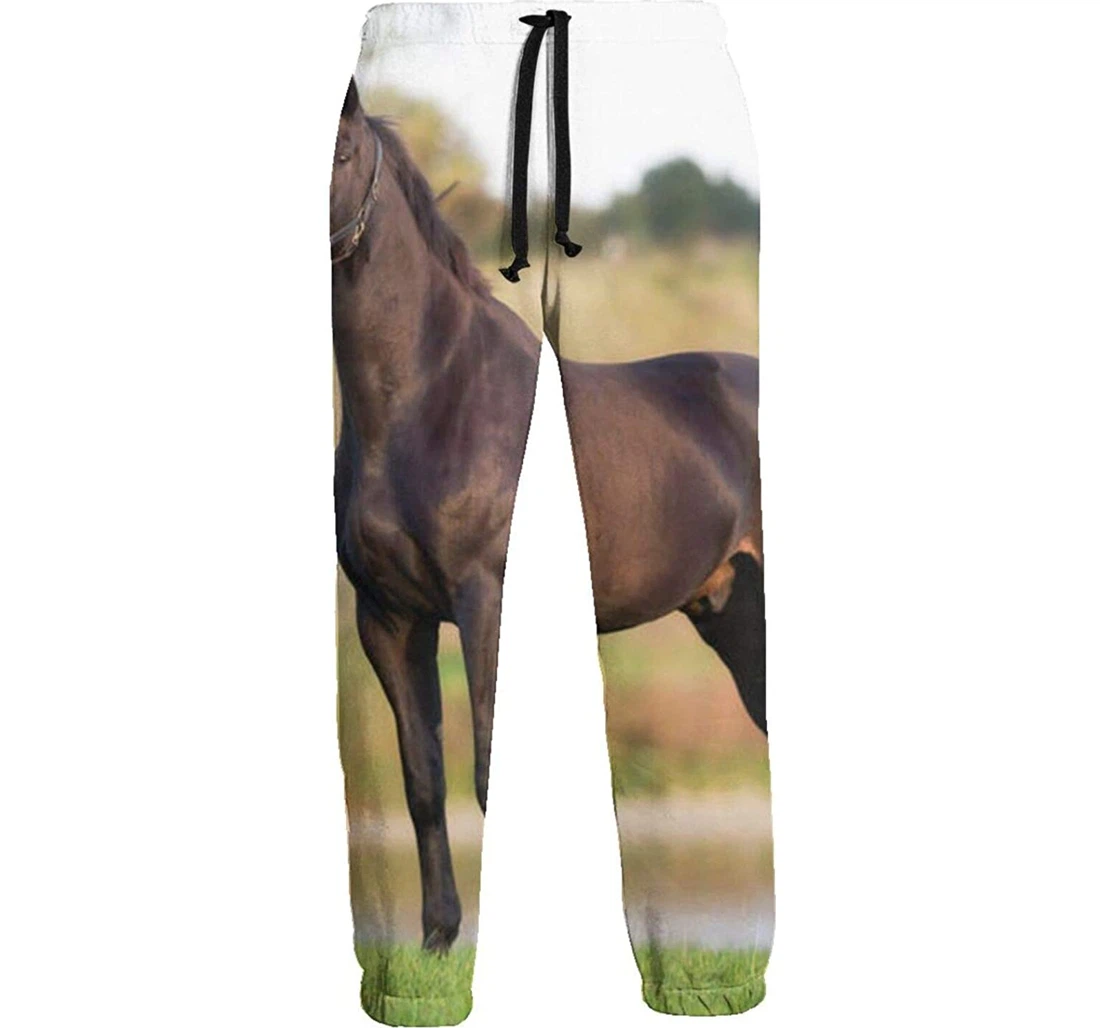 Personalized The Black Horse Graphic Funny Casual Sweatpants, Joggers Pants With Drawstring For Men, Women