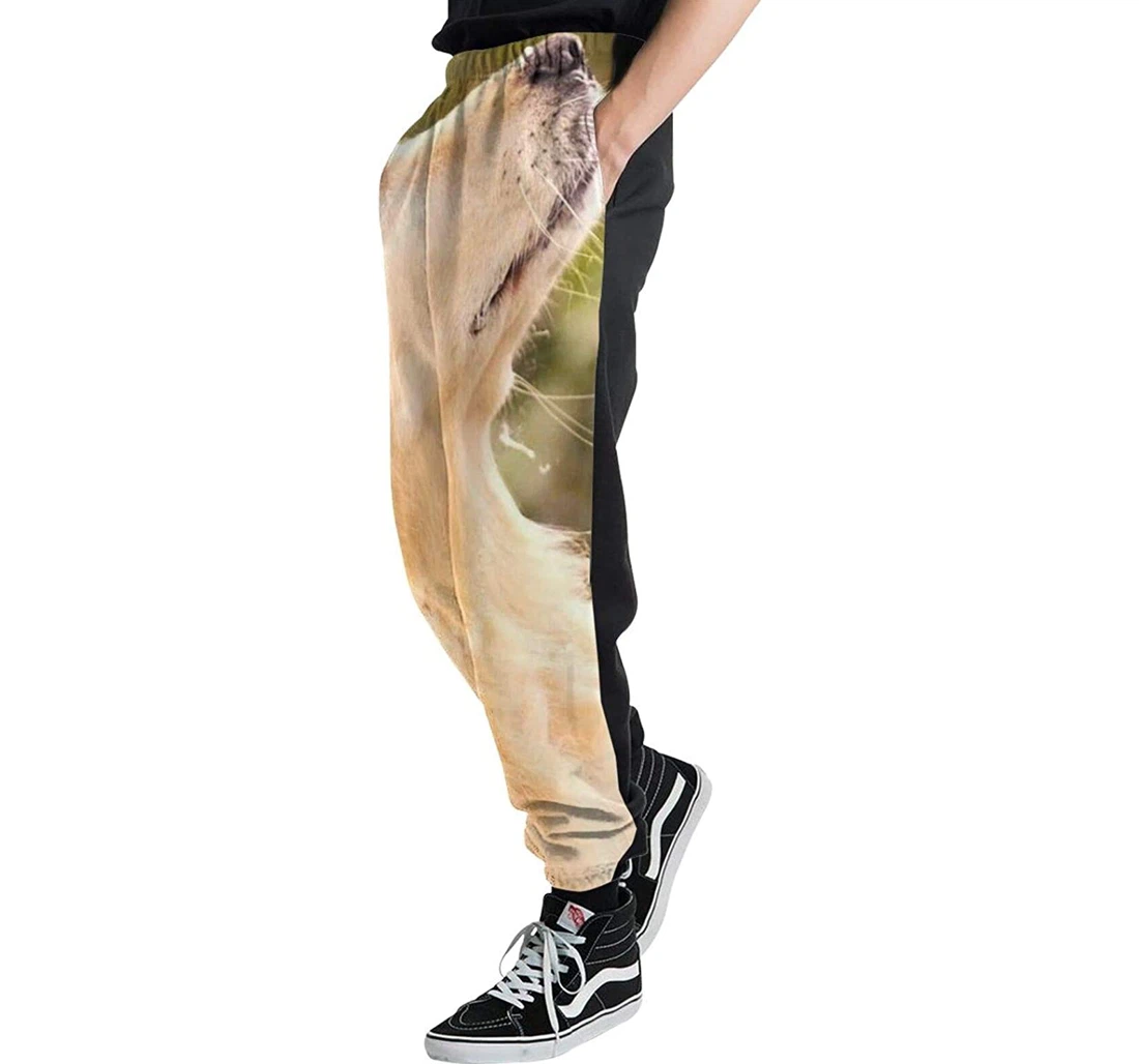 Personalized Golden Retriever Graphic Funny Casual Sweatpants, Joggers Pants With Drawstring For Men, Women