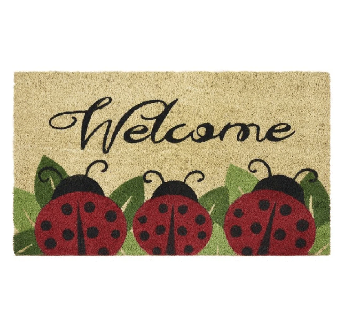 Achim Lady Bug Printed Coir Welcome Doormat