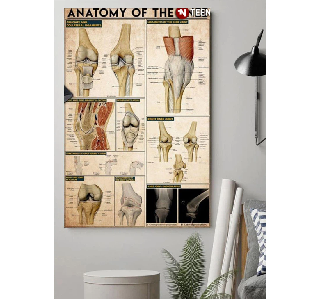Personalized Poster, Canvas - Anatomy Of The Knee Print Framed Wall Art