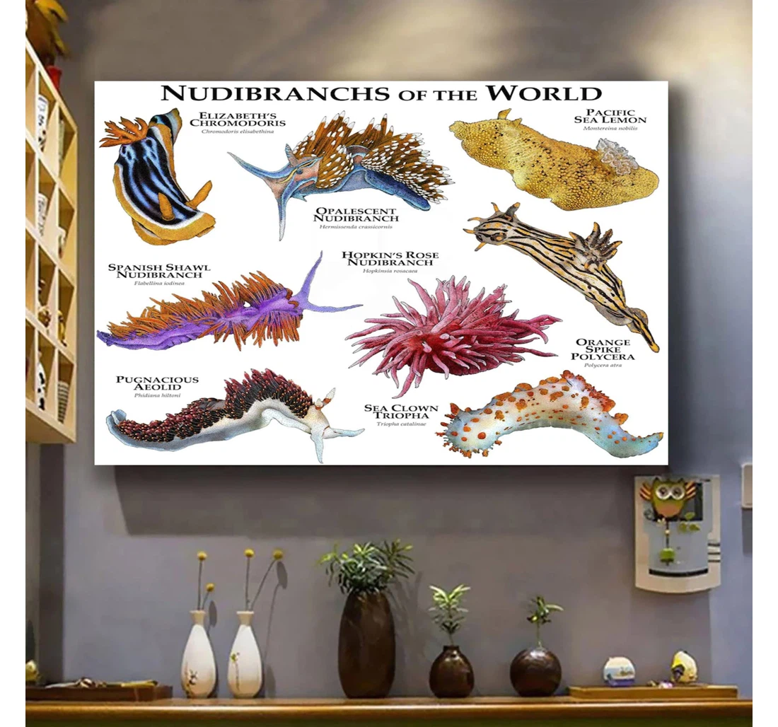 Personalized Poster, Canvas - Sea Animals Nudibranchs Of The World Print Framed Wall Art