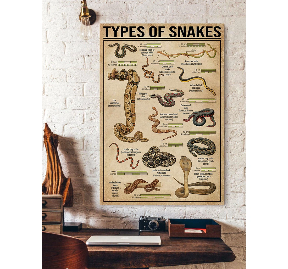 Personalized Poster, Canvas - Wild Animals Types Of Snakes Print Framed Wall Art