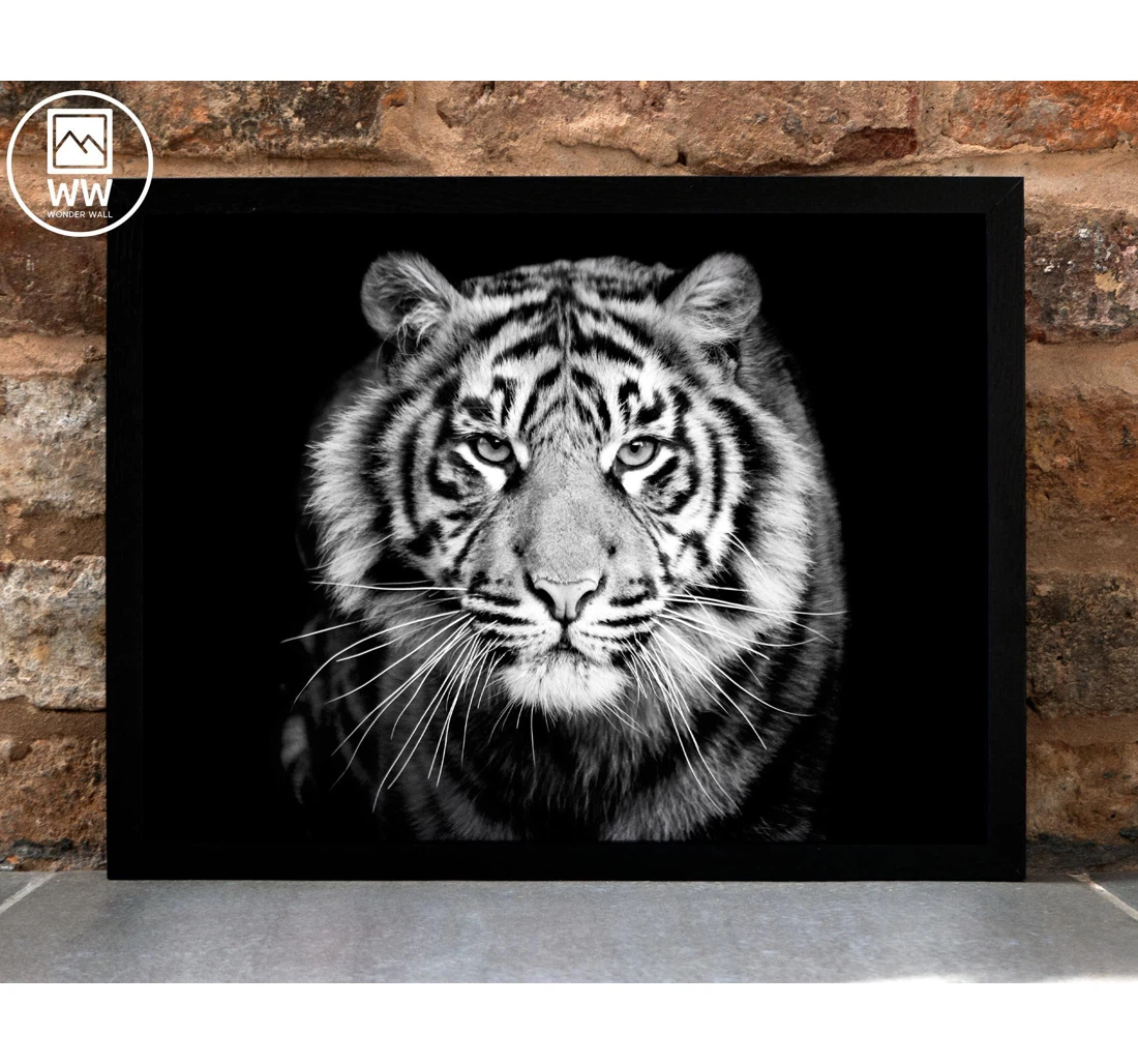 Poster, Canvas - Tiger Tiger Black White Photograph Fin Print Framed Wall Art