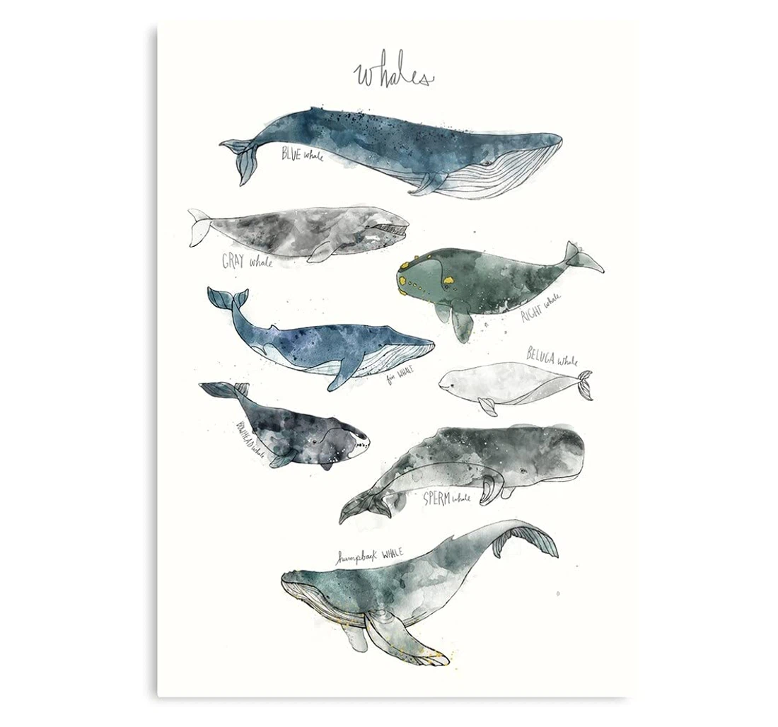 Poster, Canvas - Whales Nature Blue Humpback Animals Whale Beluga The Print Framed Wall Art