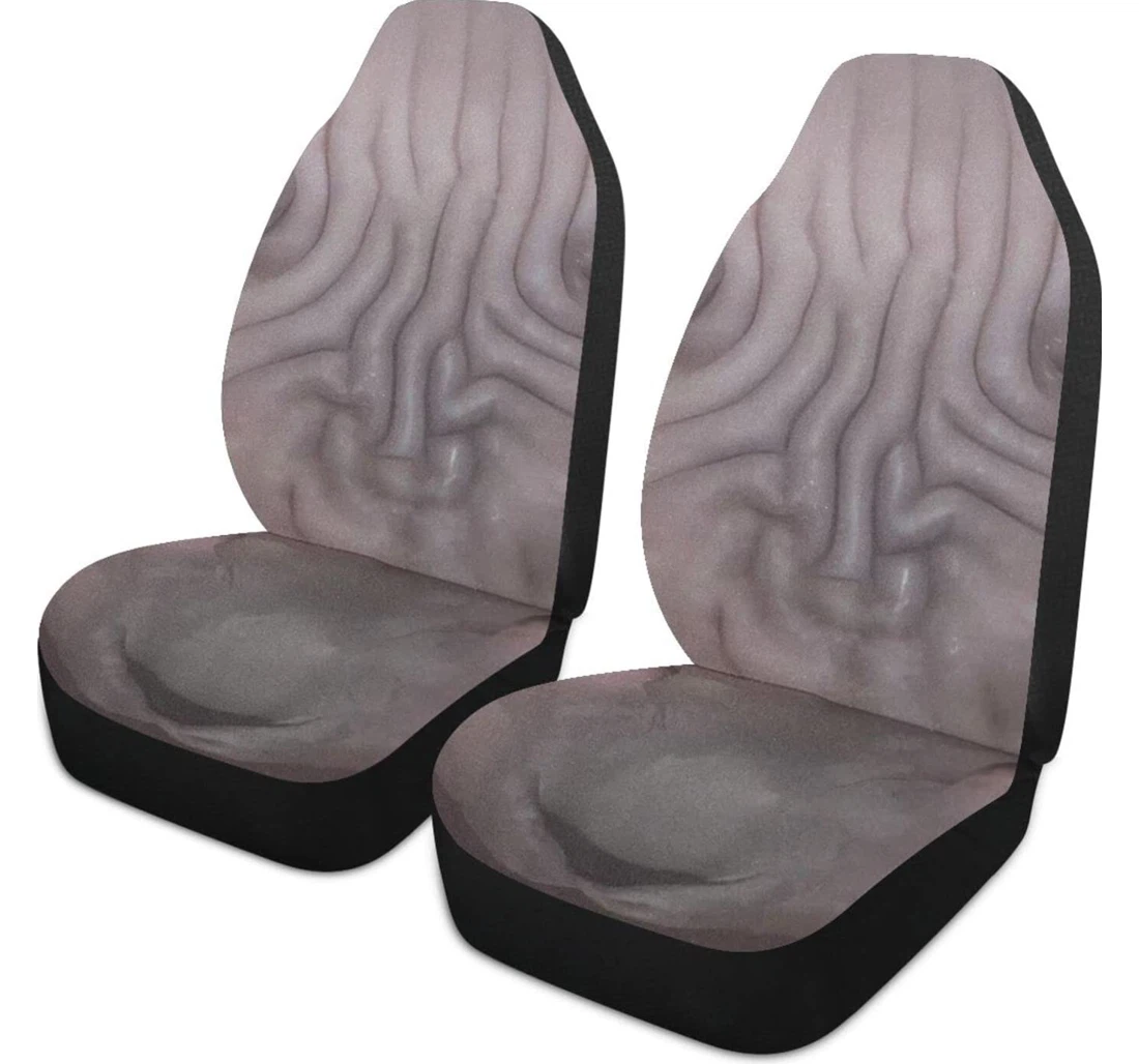 Real Cute Kitten Universal Front Car Seat Cover