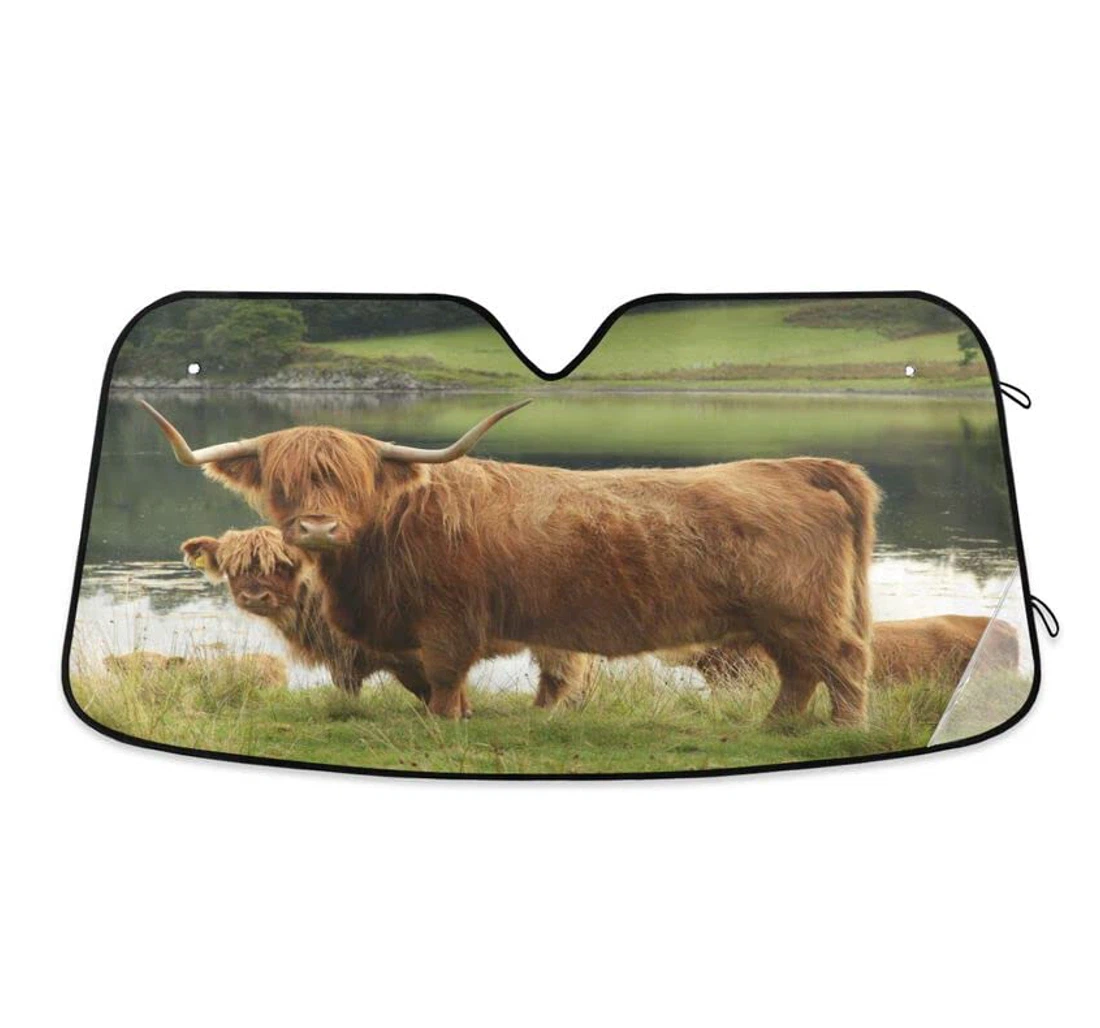 Cattle Highland Cow Meadow Car Sun Shade