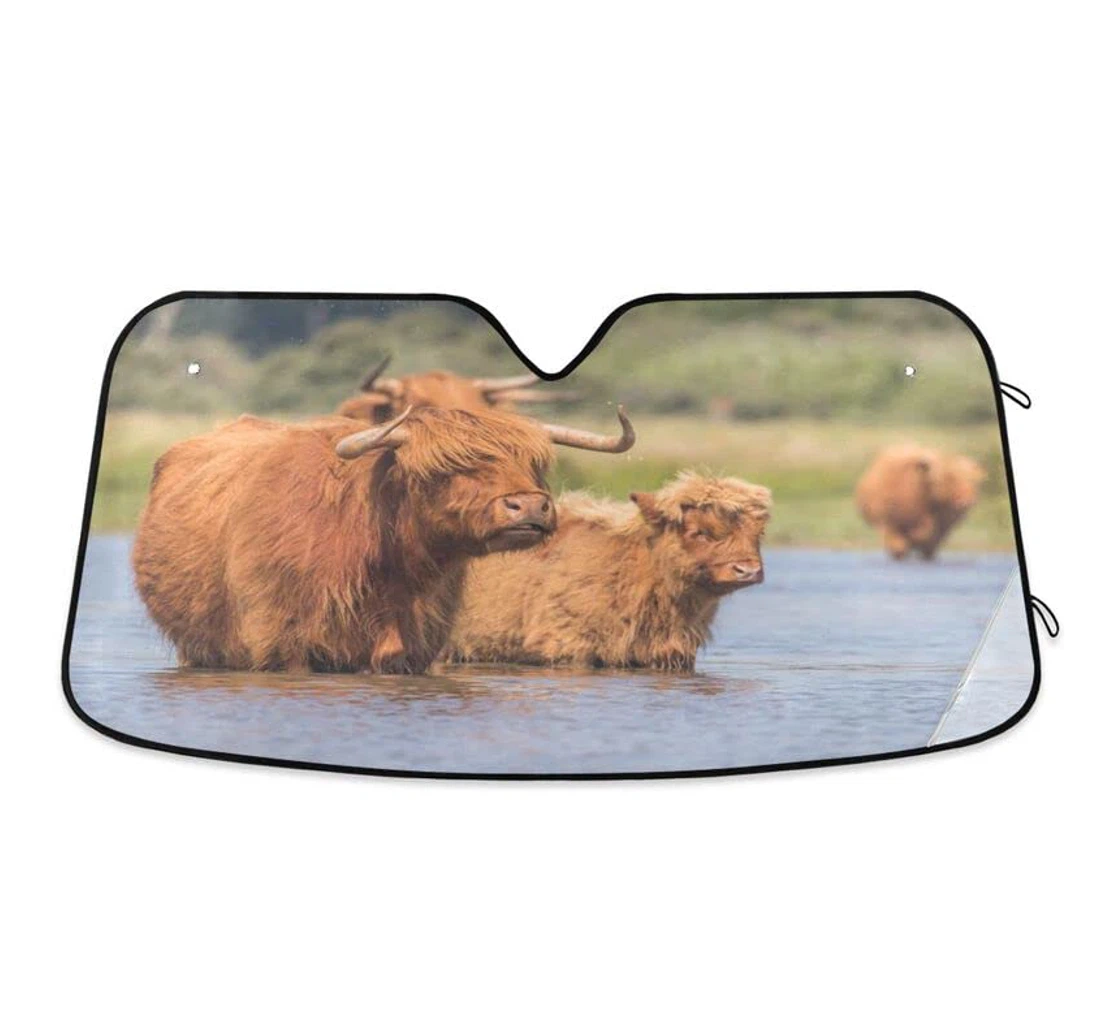 Cattle Highland Cows Meadow Car Sun Shade