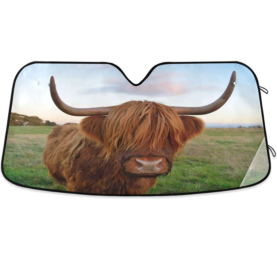 Highland Cattle Cow Grassland Car Sun Shade