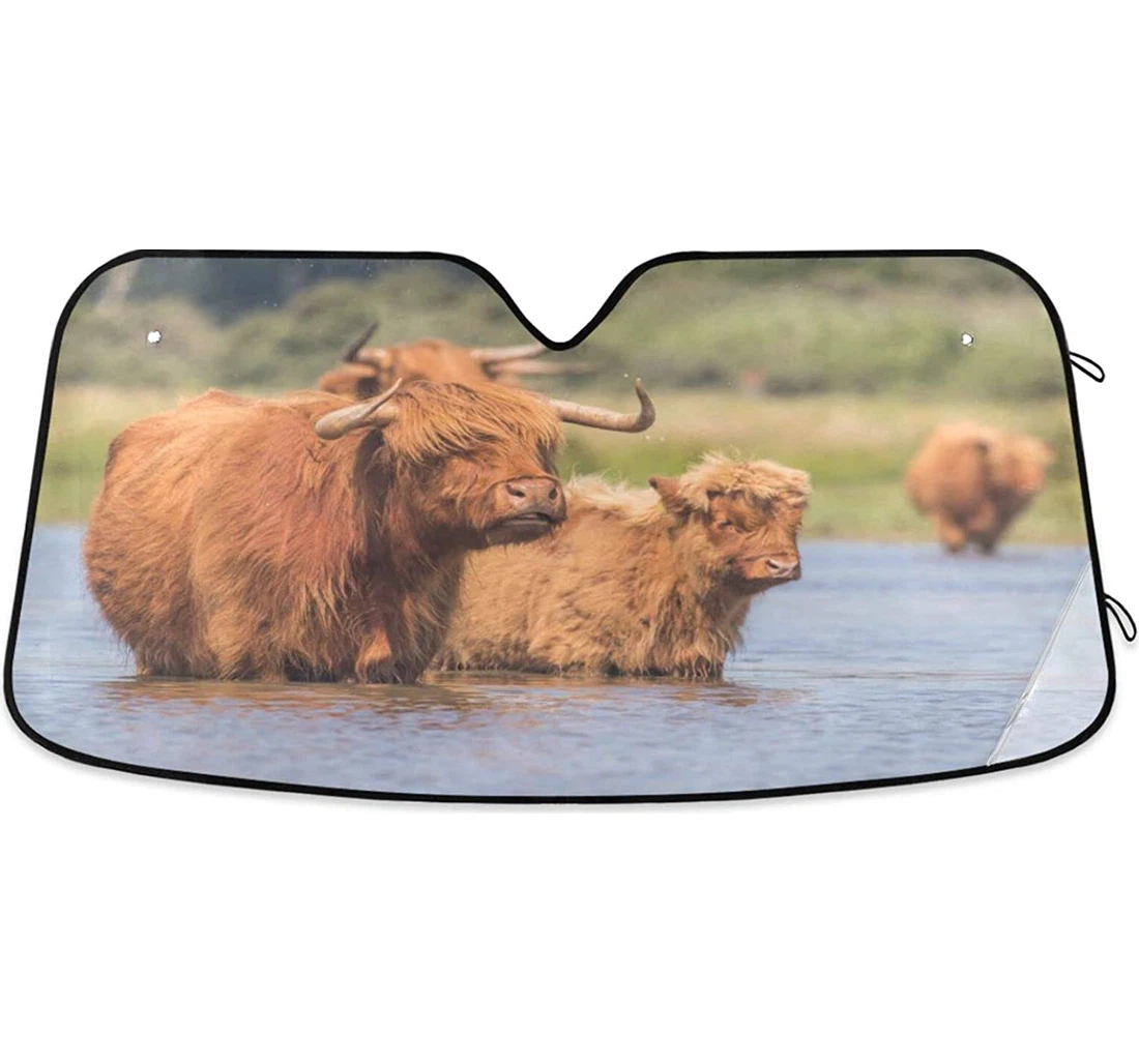 Cattle Highland Cows Meadow Car Sun Shade