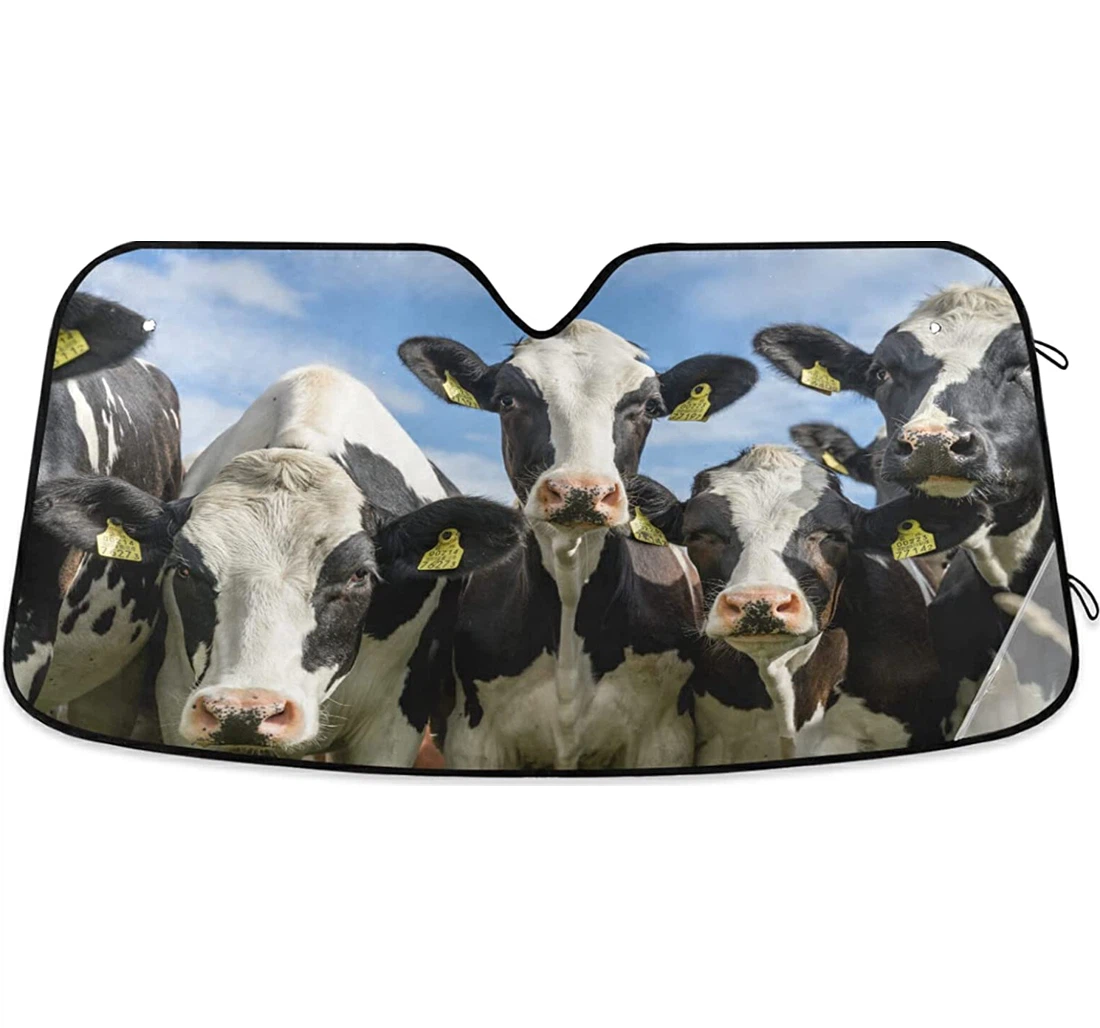 Curious Cute Cows Auto Sun Shade