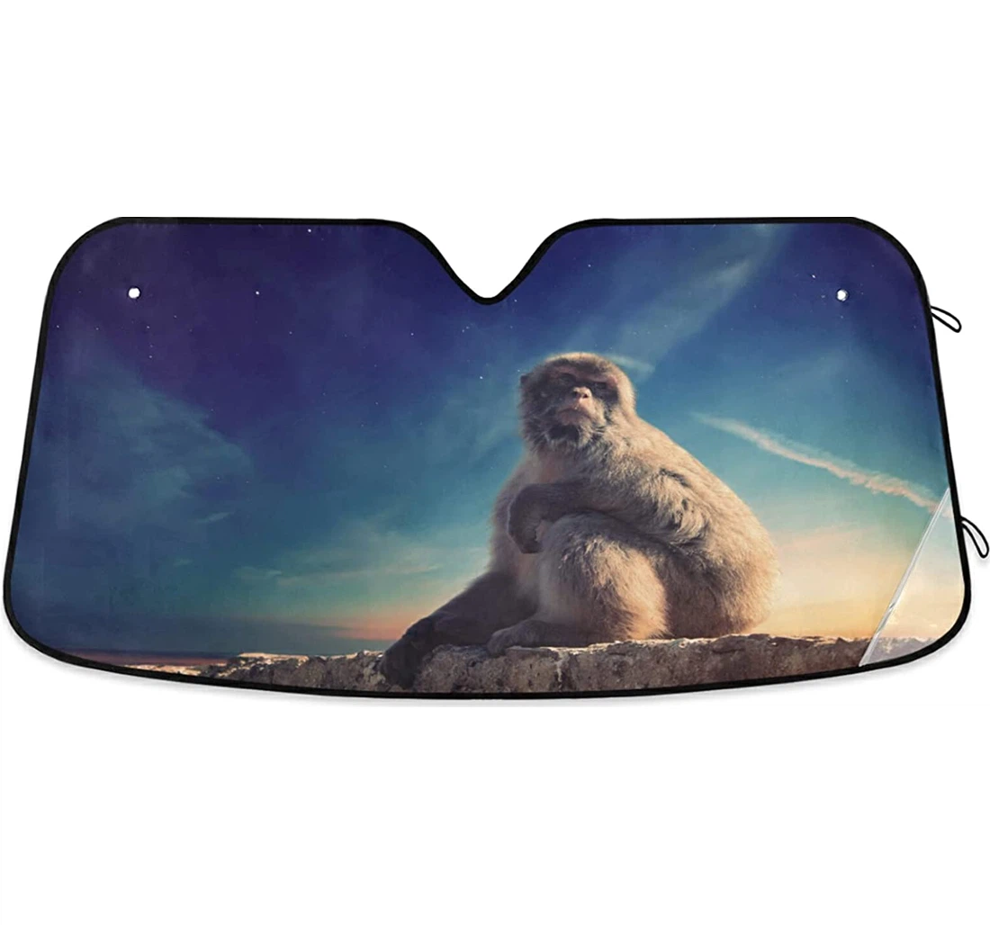 Blue Sky Monkey Sunset Auto Sun Shade