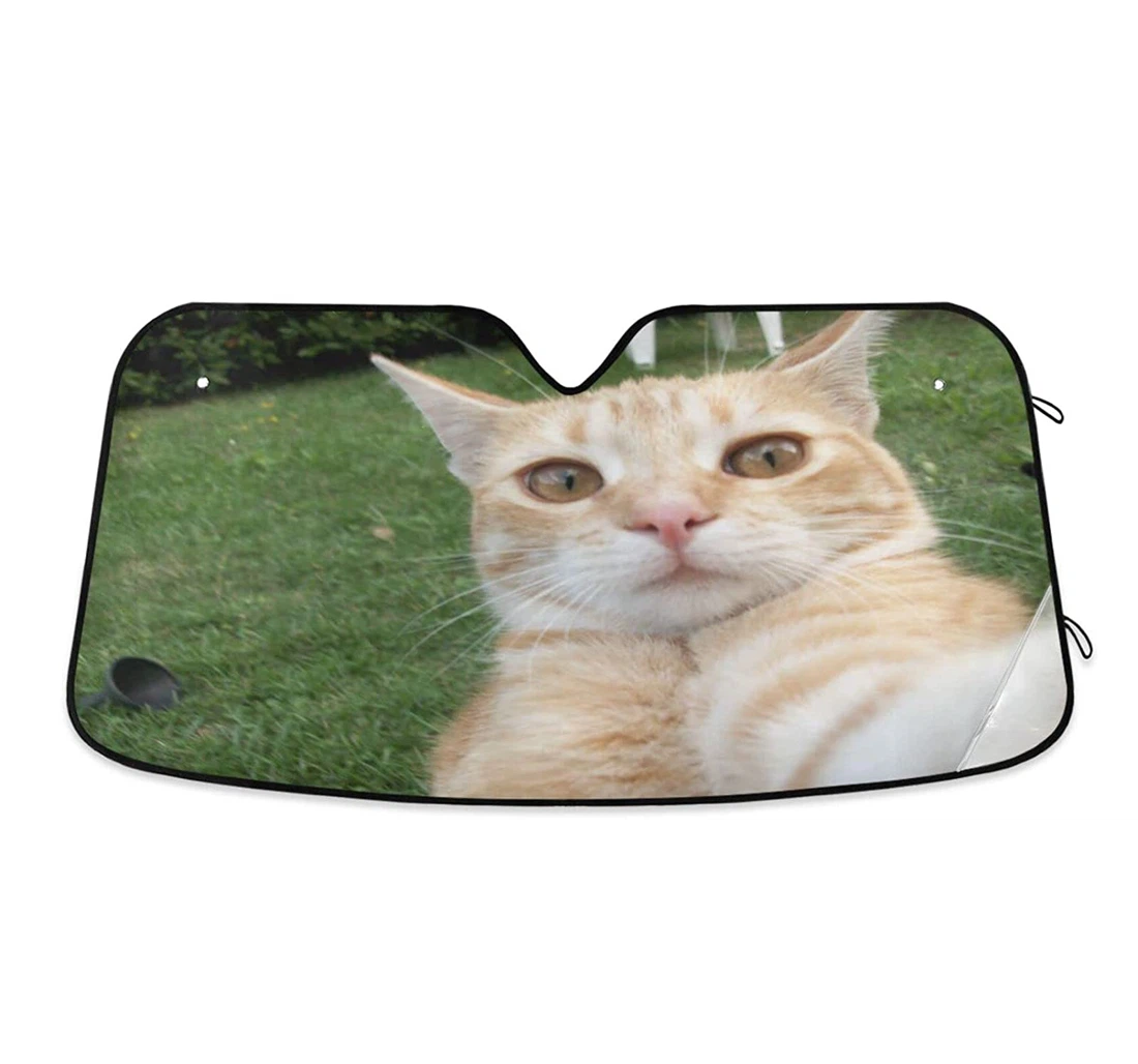 Cat Protect From Glare Best Auto Sun Shade