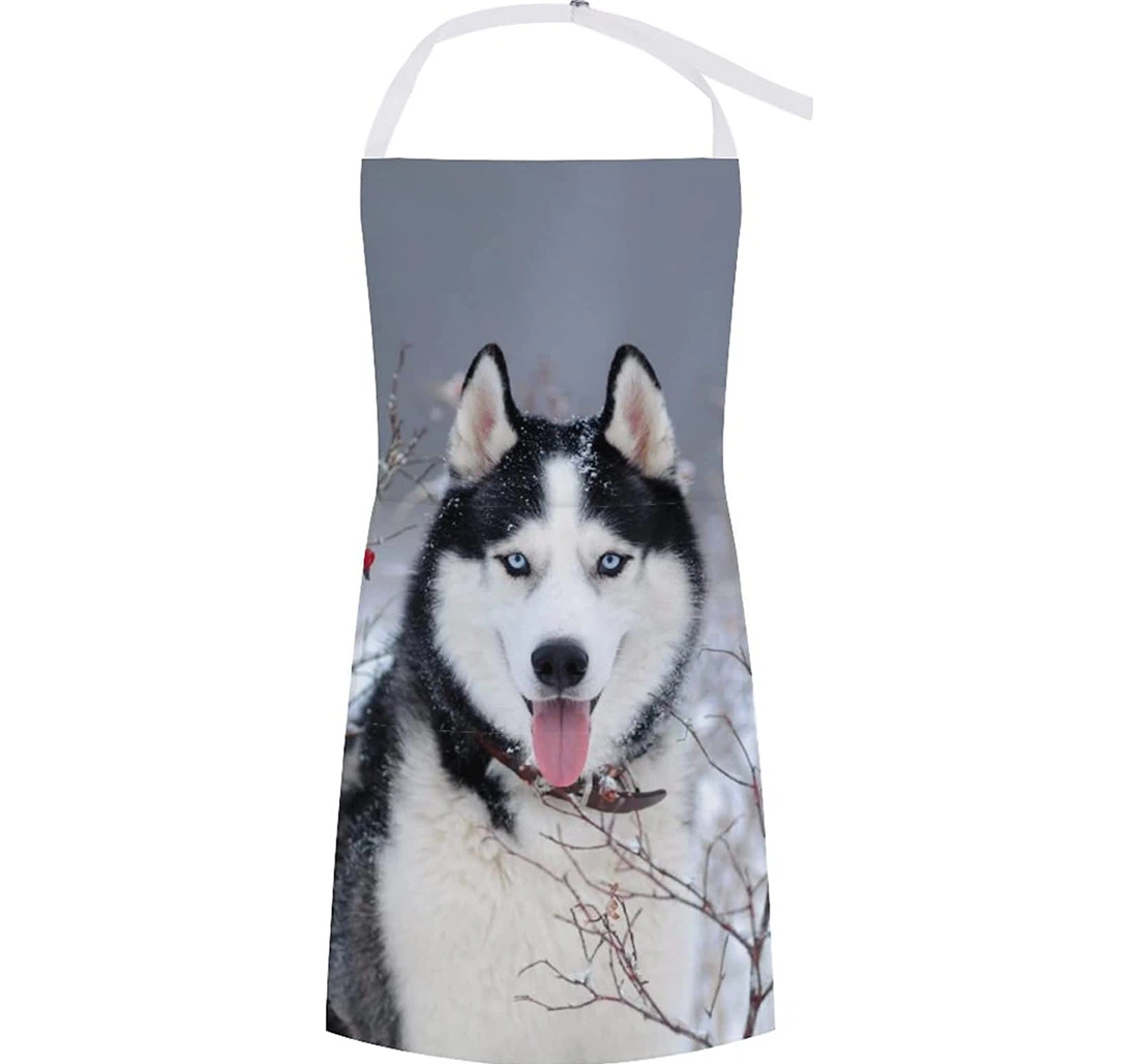 Siberian Husky Dog In Winter Apron