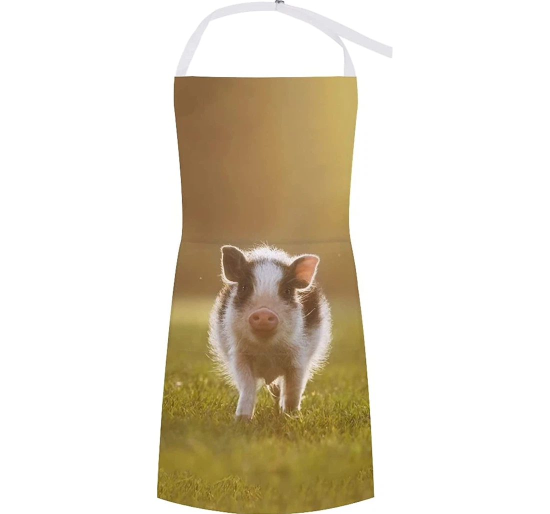 Mini Pig Walking In The Yard At Sunset Apron