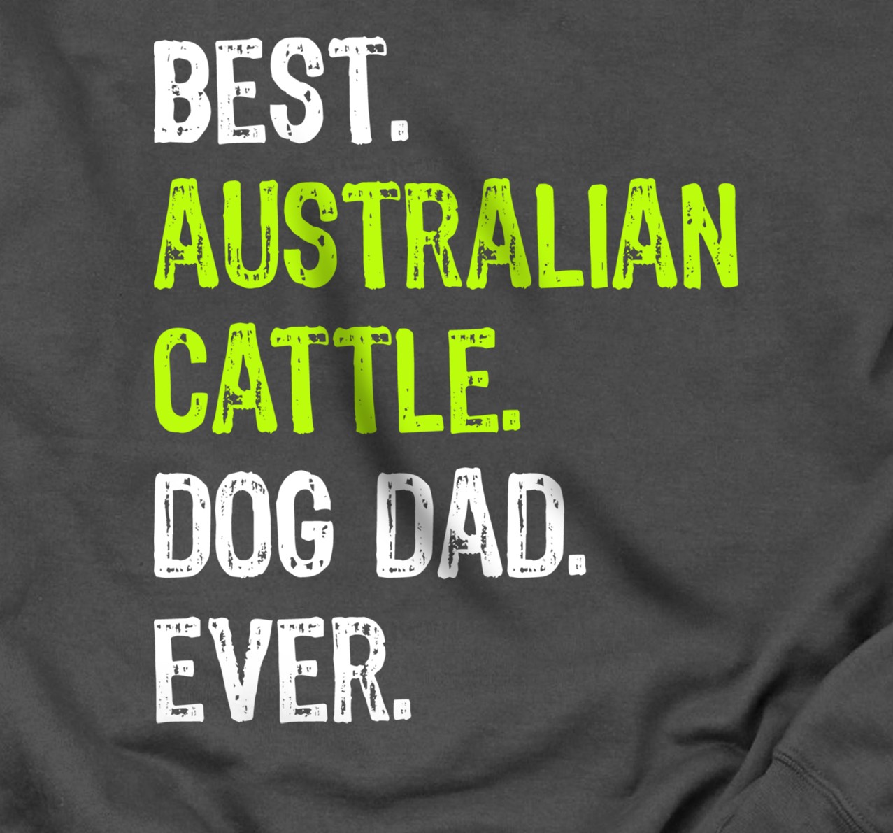 Australian Cattle Dog Dad Fathers Day Funny Dog Lovers Gift Sweatshirt