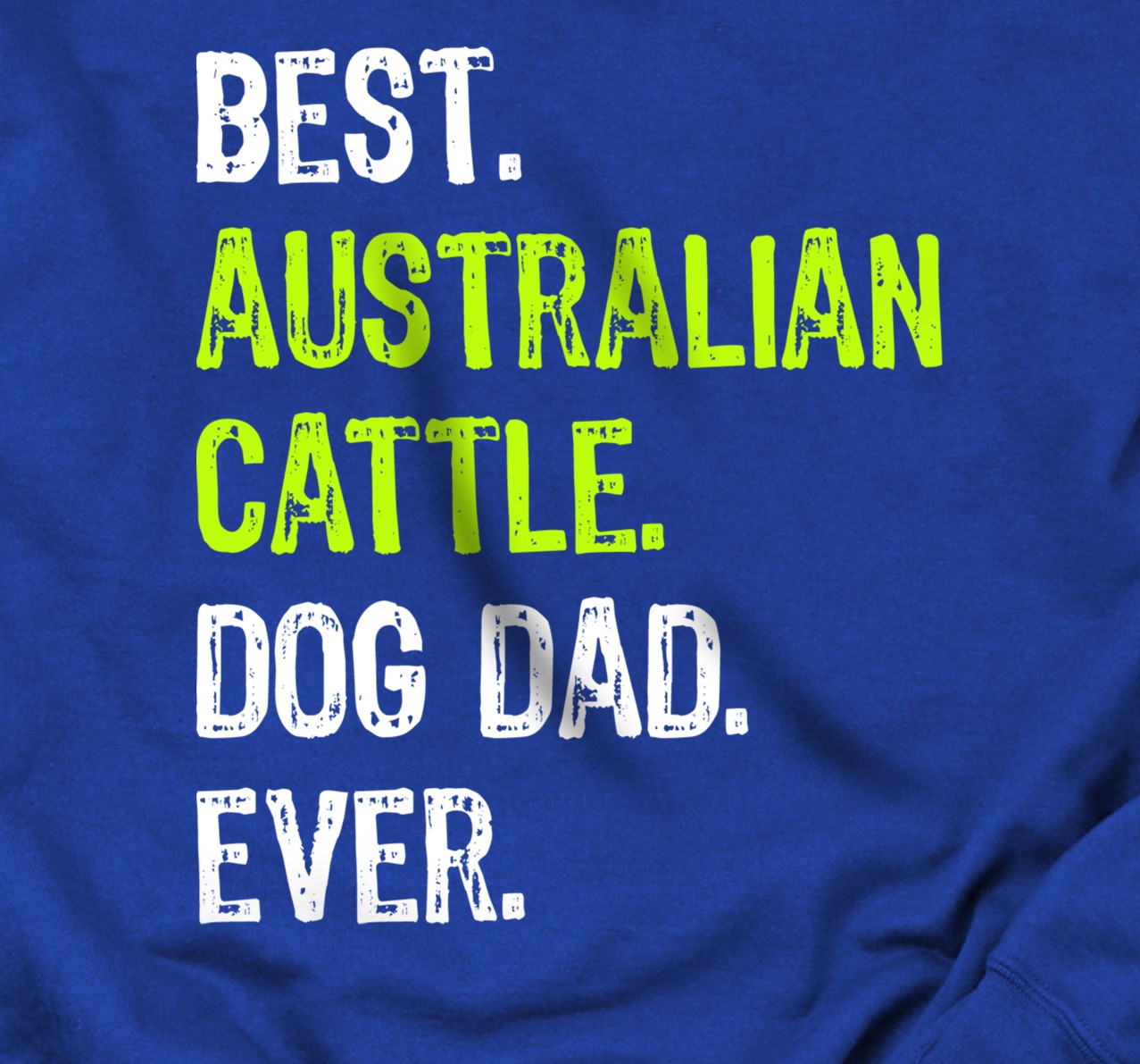 Australian Cattle Dog Dad Fathers Day Funny Dog Lovers Gift Sweatshirt