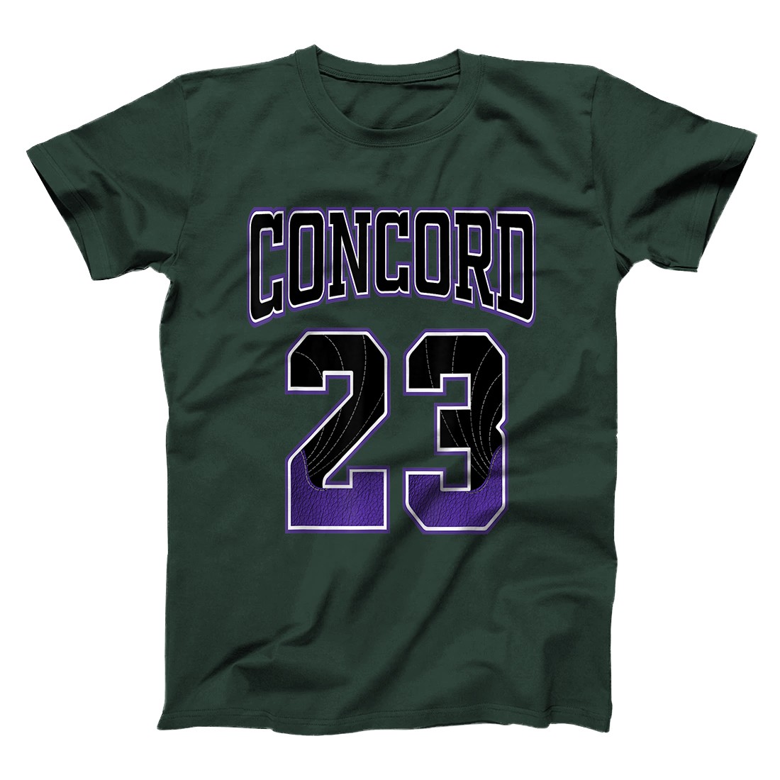 jordan concord t shirt