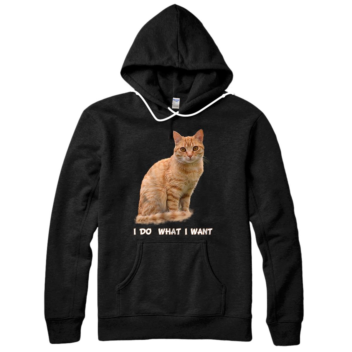 I Do What I Want Funny Orange Tabby Cat Lovers Gifts Pullover Hoodie