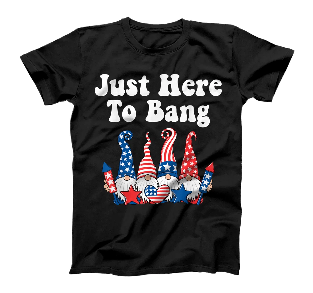 I'm Just Here To Bang 4th Of July American Gnomes Funny T-Shirt, Women T-Shirt