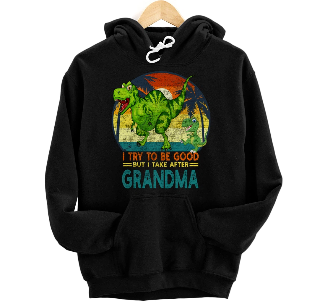 Personalized Funny Dinosaur I Try To Be Good But I Take After My Grandma Pullover Hoodie