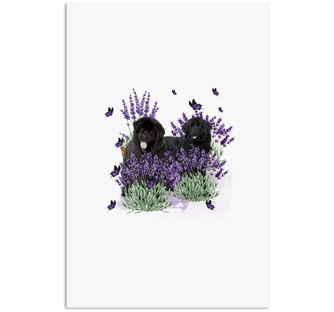 Poster, Canvas - Newfoundland With Lavender Flower Print Framed Wall Art