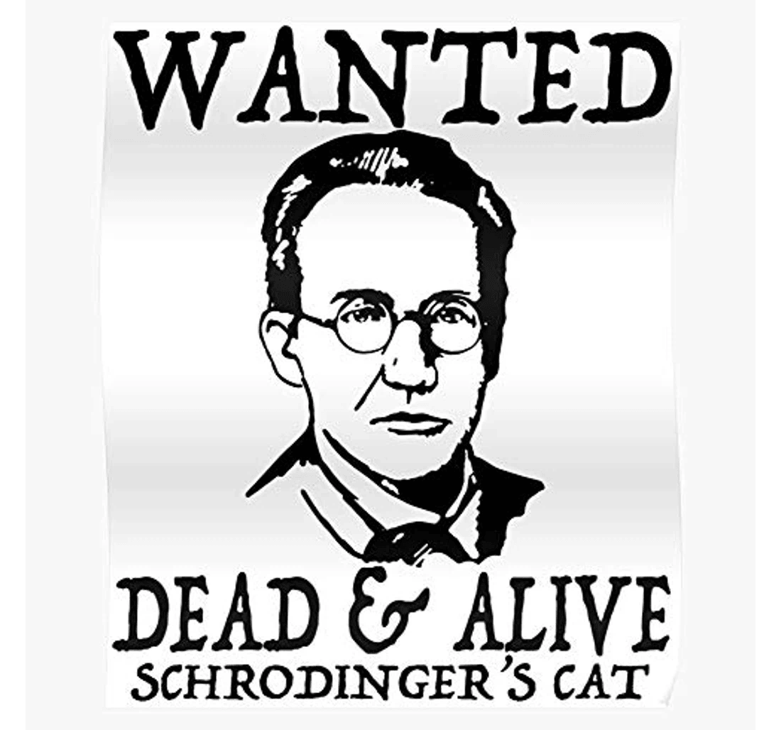 Poster, Canvas - Josef Schroedinger Erwin Austrian Physicist Alexander Cat Wanted Rudolf Or Schrodinger Dead Alive I Mixerd Impressive And Trendy Or Desk Mount Print Framed Wall Art