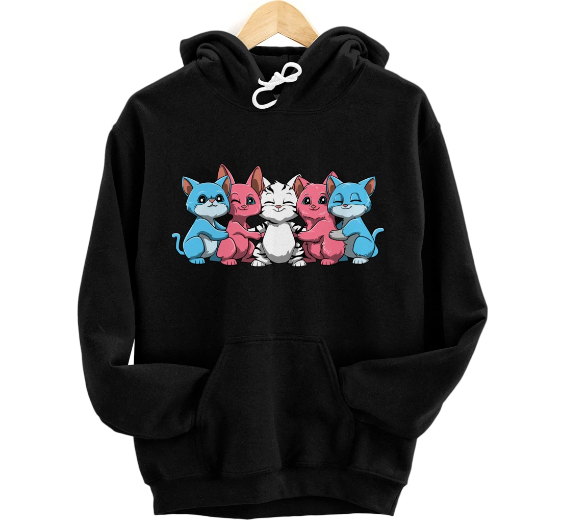 Cute Transgender Pride Cats Hugging Trans Cats Pullover Hoodie