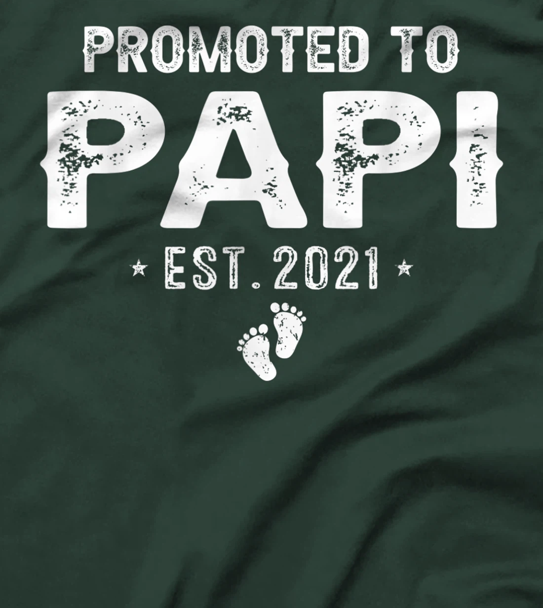 Promoted To Papi Est.2021 Pregnancy Baby Gift New Papi T-Shirt