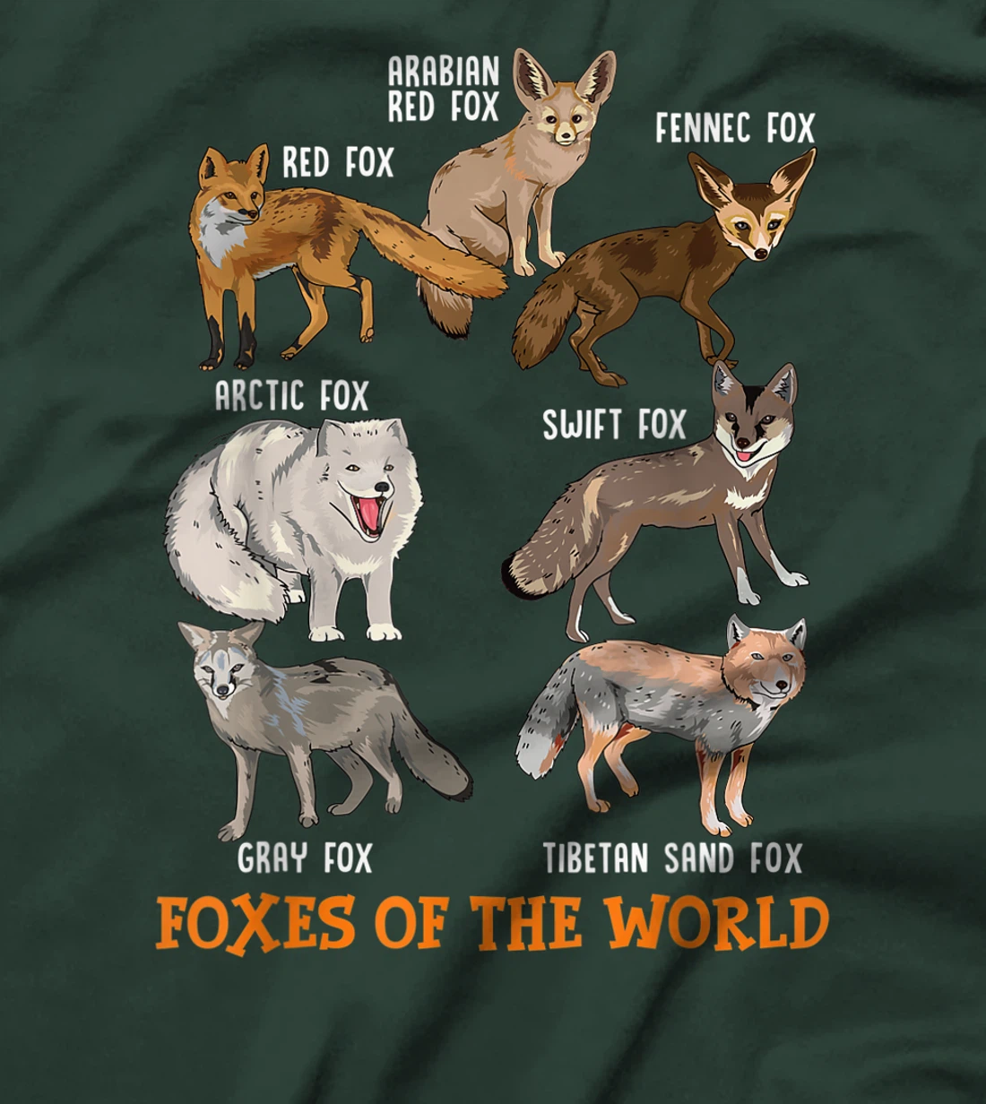 Foxes Of The World Funny Fox Stuff Animals Educational Tee T-Shirt