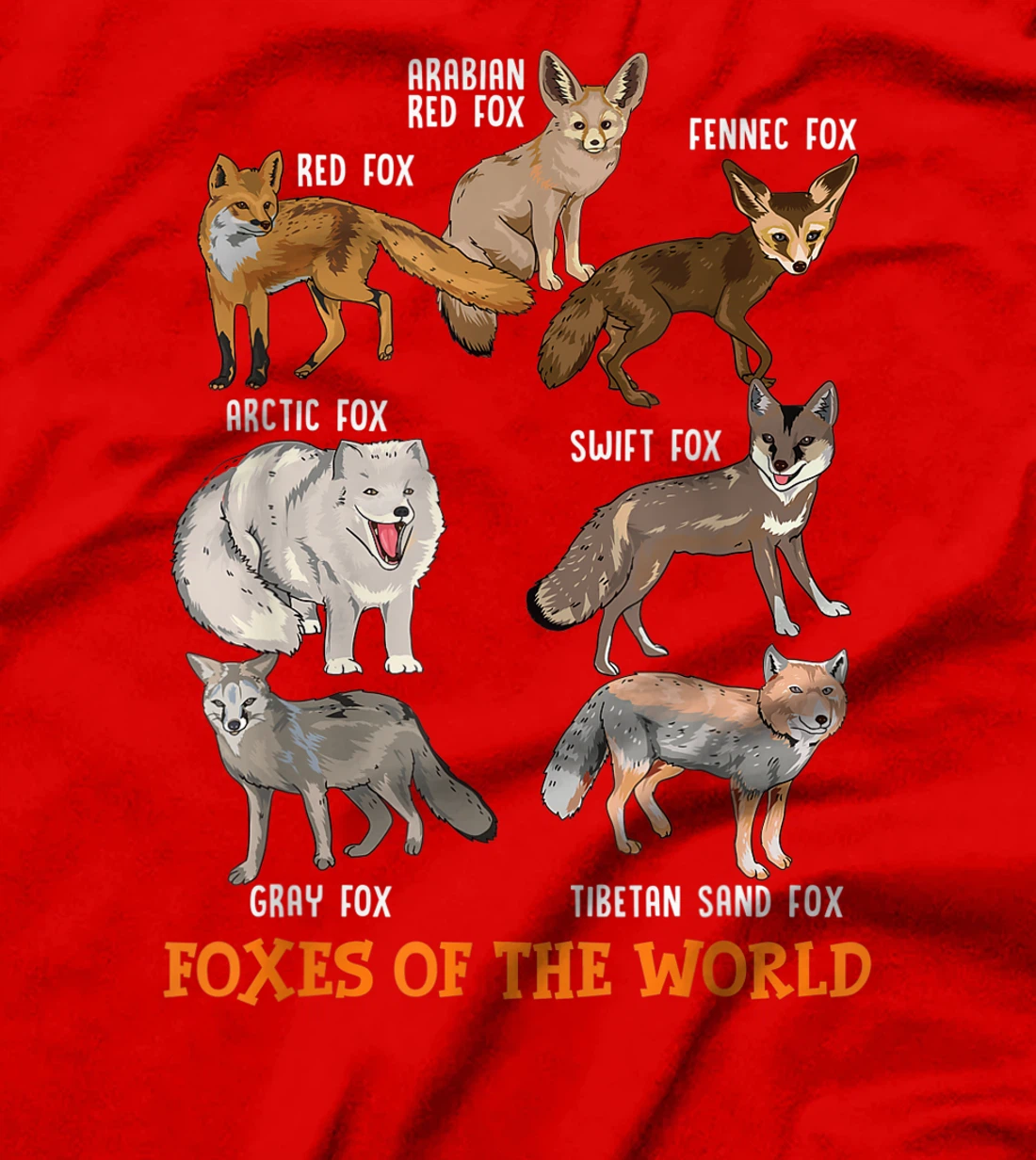 Foxes Of The World Funny Fox Stuff Animals Educational Tee T-Shirt