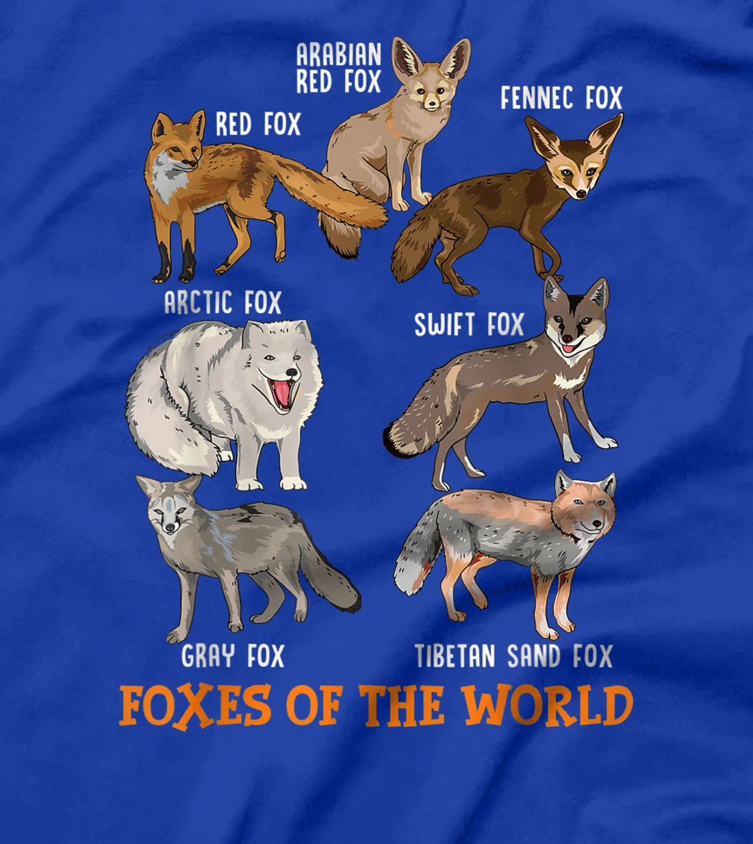 Foxes Of The World Funny Fox Stuff Animals Educational Tee T-Shirt