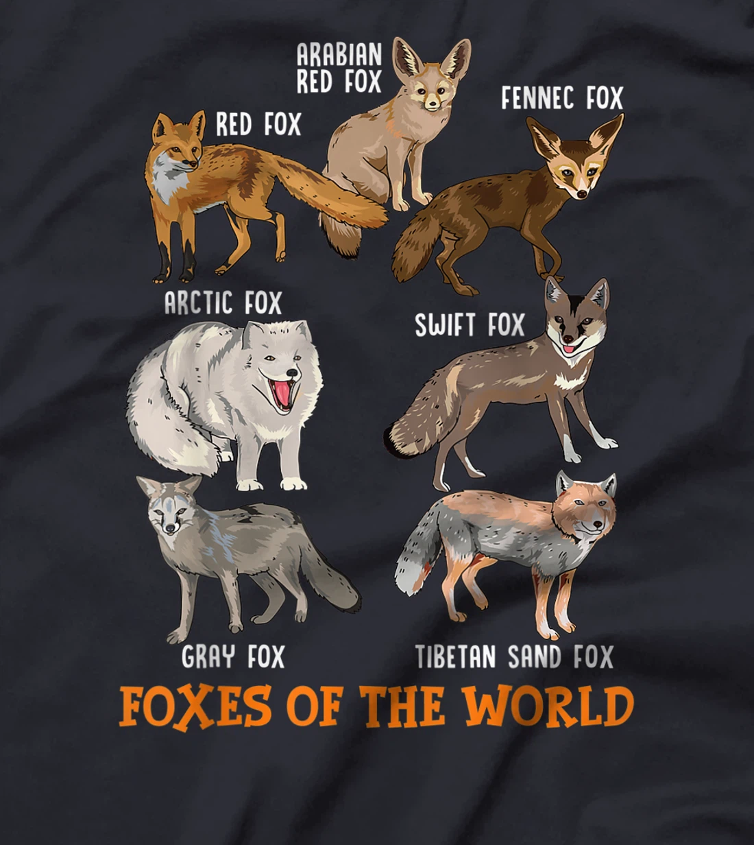 Foxes Of The World Funny Fox Stuff Animals Educational Tee T-Shirt