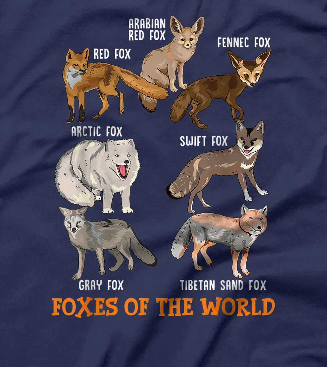Foxes Of The World Funny Fox Stuff Animals Educational Tee T-Shirt
