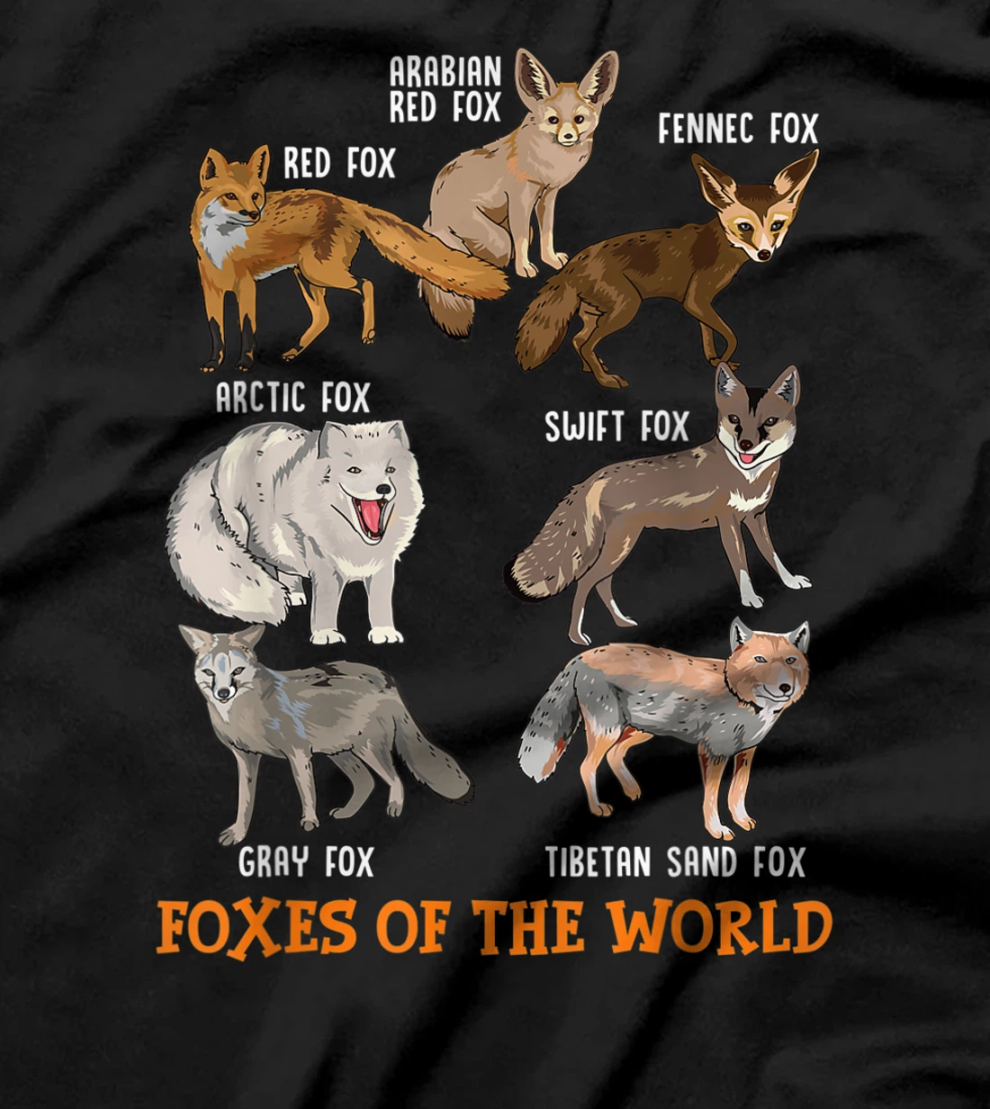 Foxes Of The World Funny Fox Stuff Animals Educational Tee T-Shirt