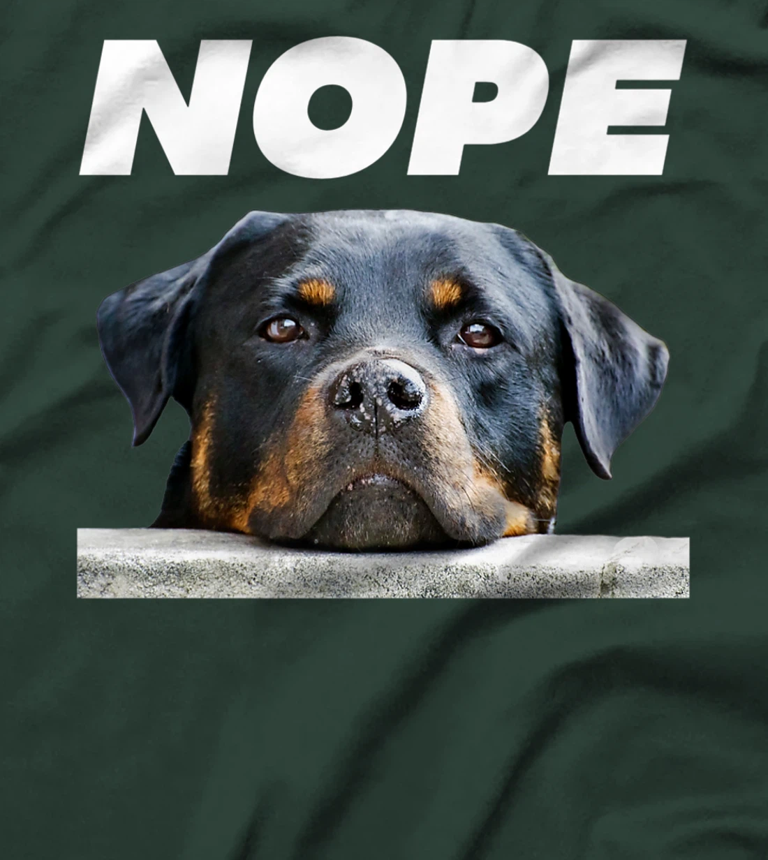 Rotweiller Nope Rottie Face Not Today Love My Rottweiler Dog Premium T-Shirt