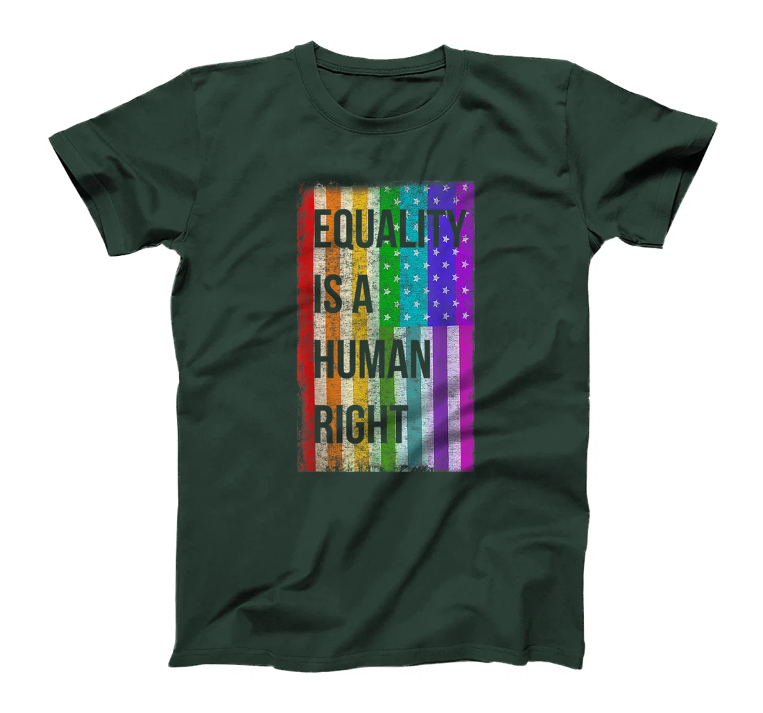 Equality Is A Human Right American Flag Gay Pride T-Shirt