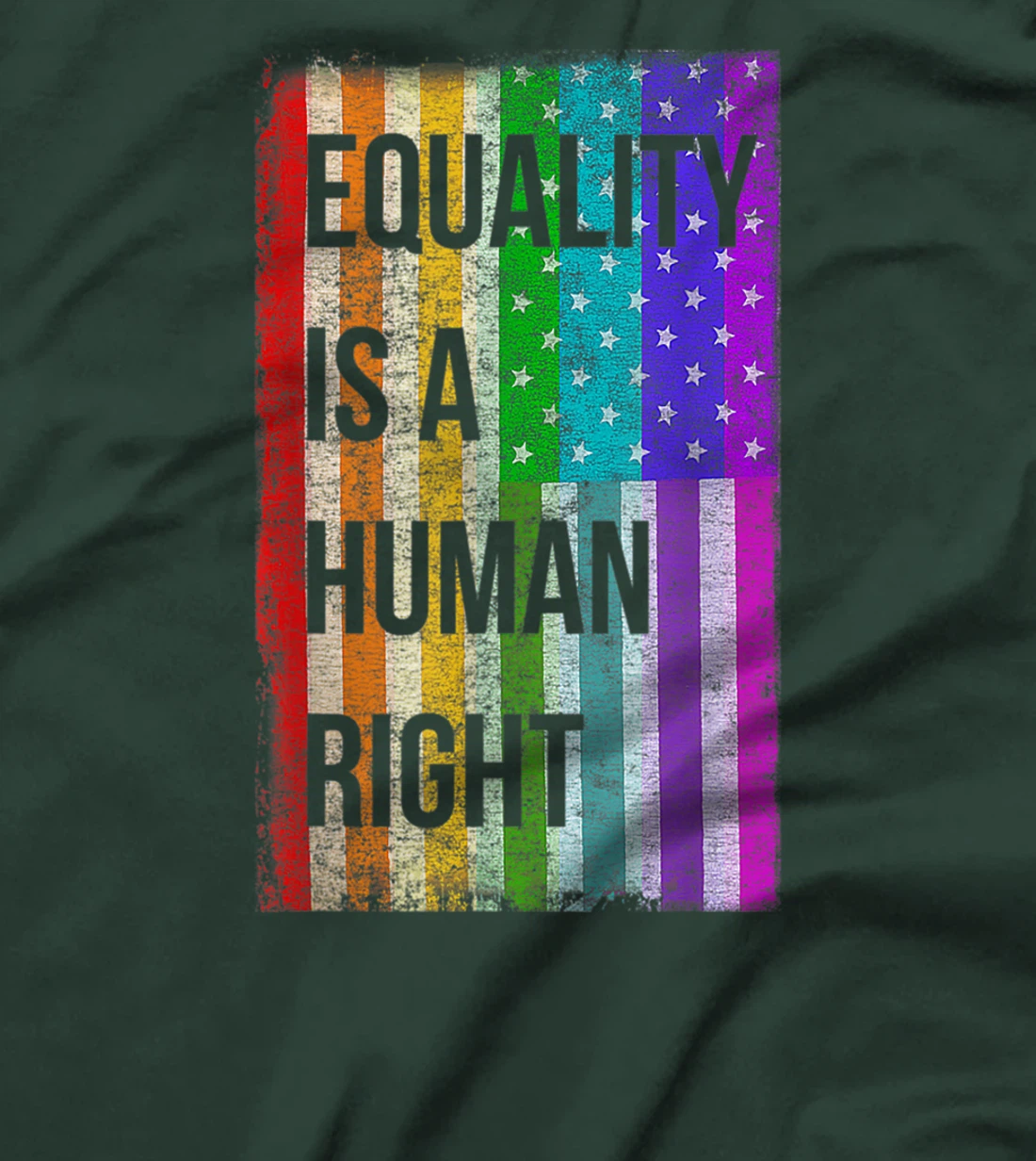 Equality Is A Human Right American Flag Gay Pride T-Shirt