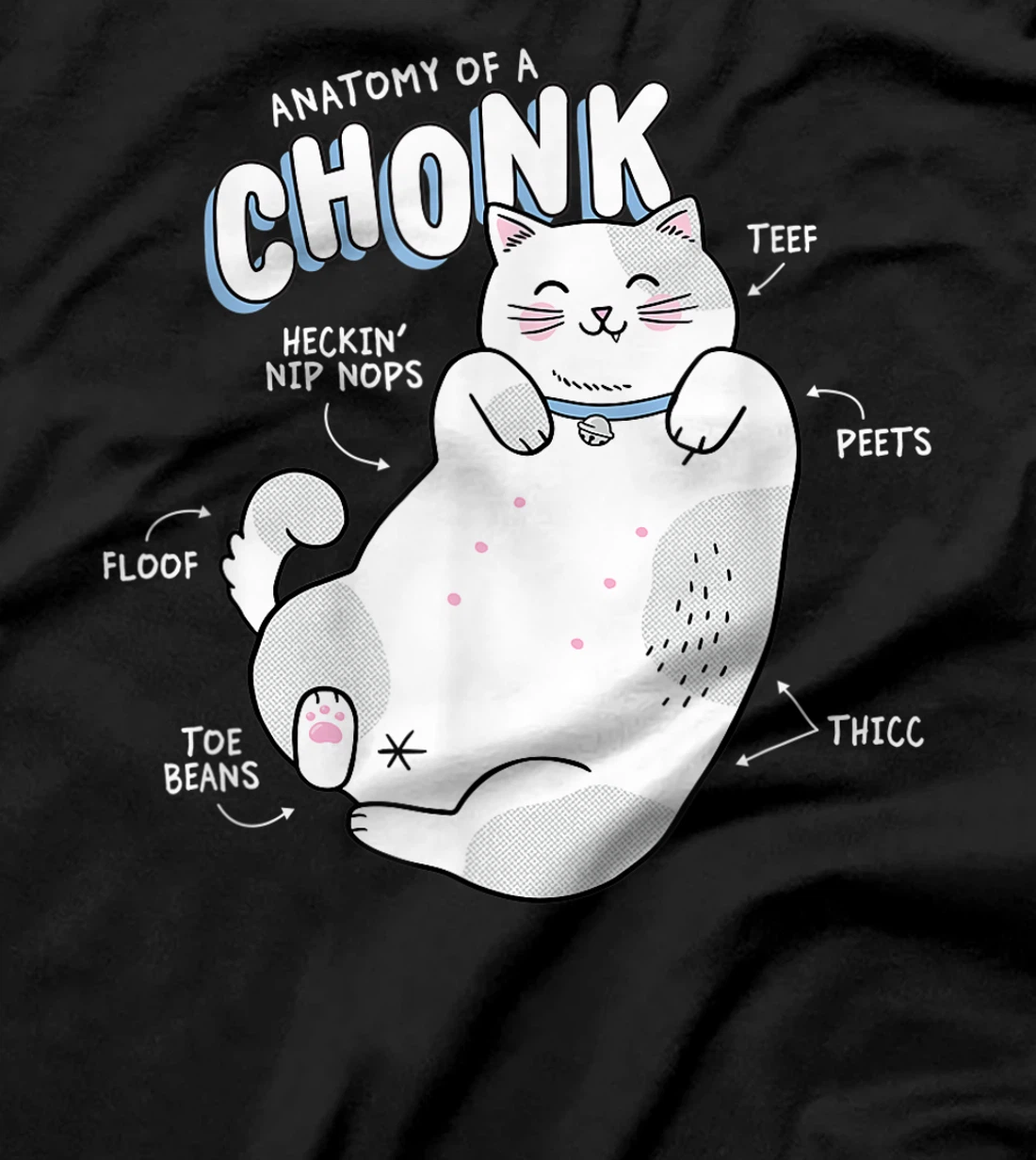 Funny Chonk Cat Meme, Anatomy of a Chonk T-Shirt