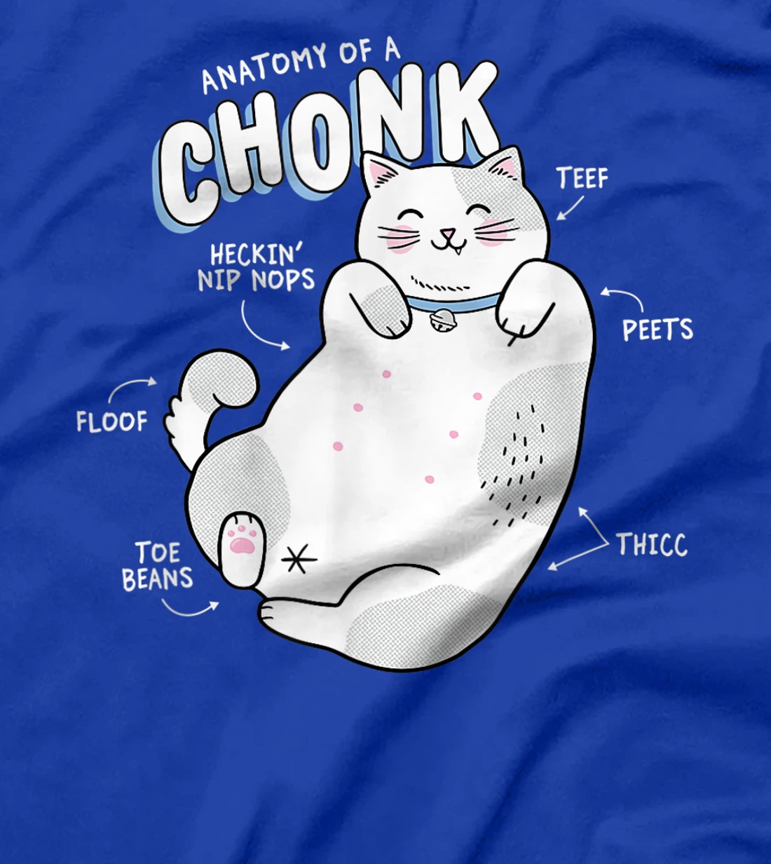 Funny Chonk Cat Meme, Anatomy of a Chonk T-Shirt