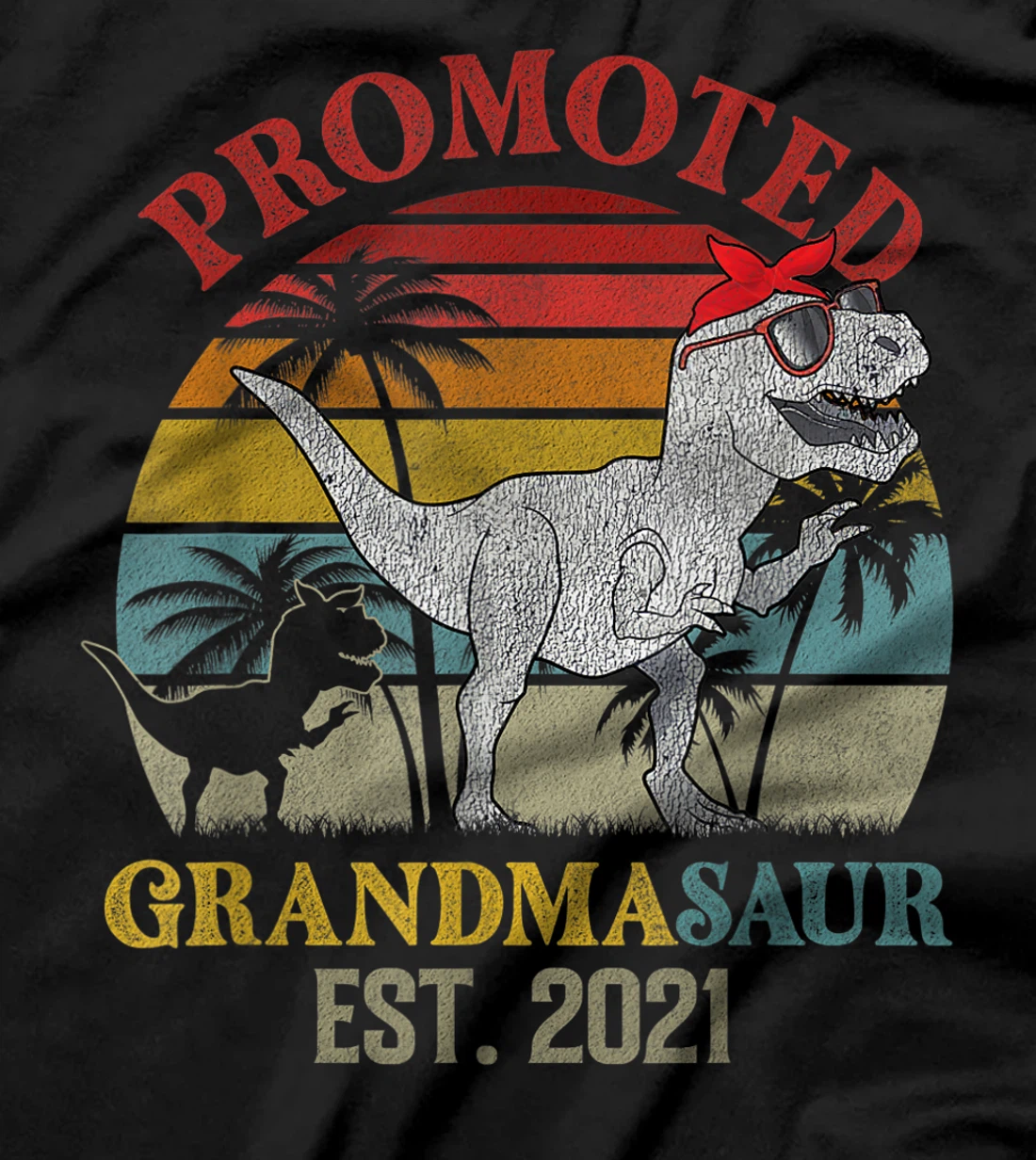 Promoted To Grandma Saurus Est 2021 Apparel T Rex Dinosaur T-Shirt