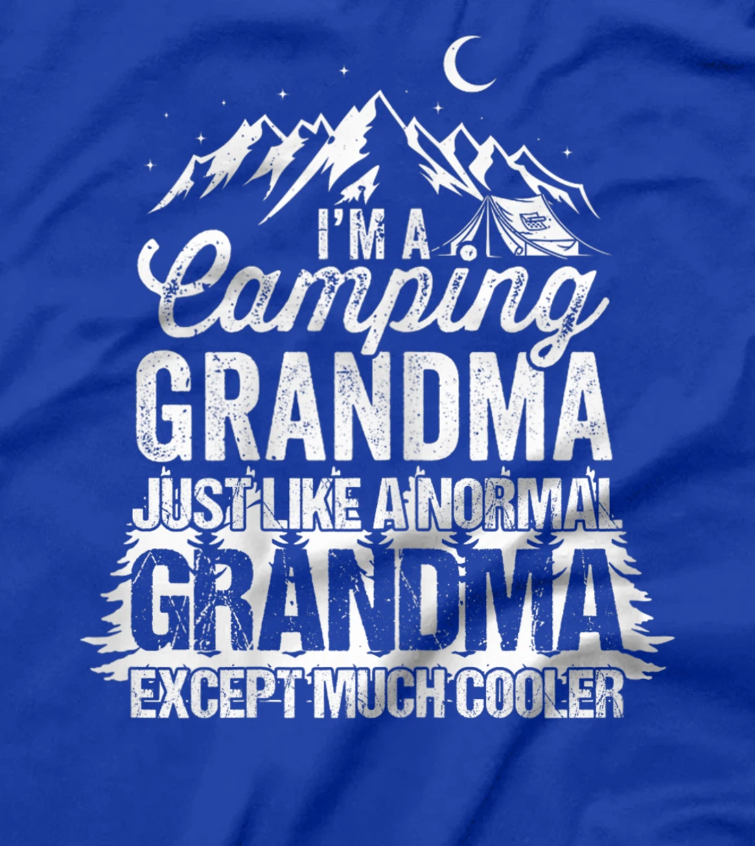 Womens I'm A Camping Grandma Just Like A Normal Grandma T-Shirt