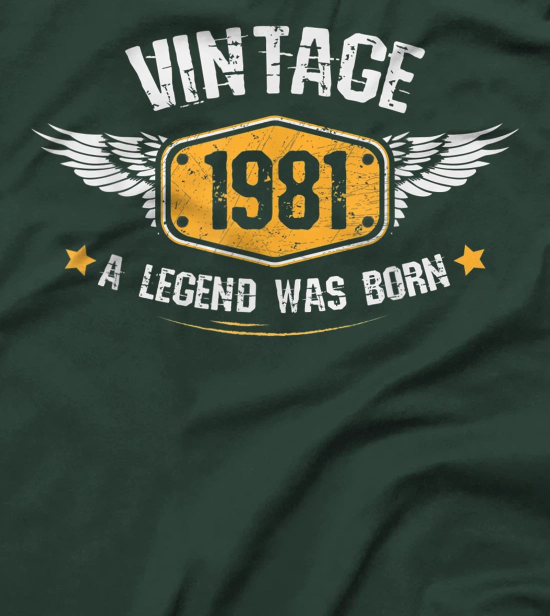 Vintage 1981,40th Birthday Gift Idea ,A Legend was born T-Shirt