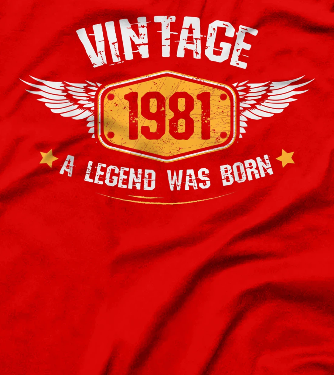 Vintage 1981,40th Birthday Gift Idea ,A Legend was born T-Shirt