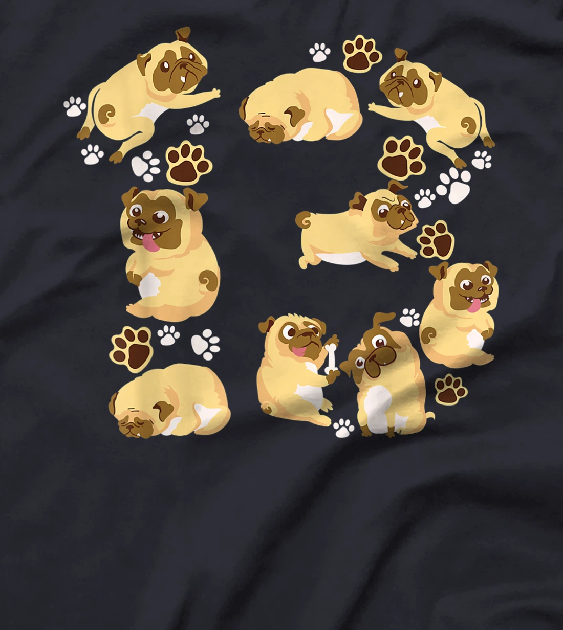 Cute Dog 13th Birthday Gift | Cool 13 Years Old Pug Boy Girl T-Shirt