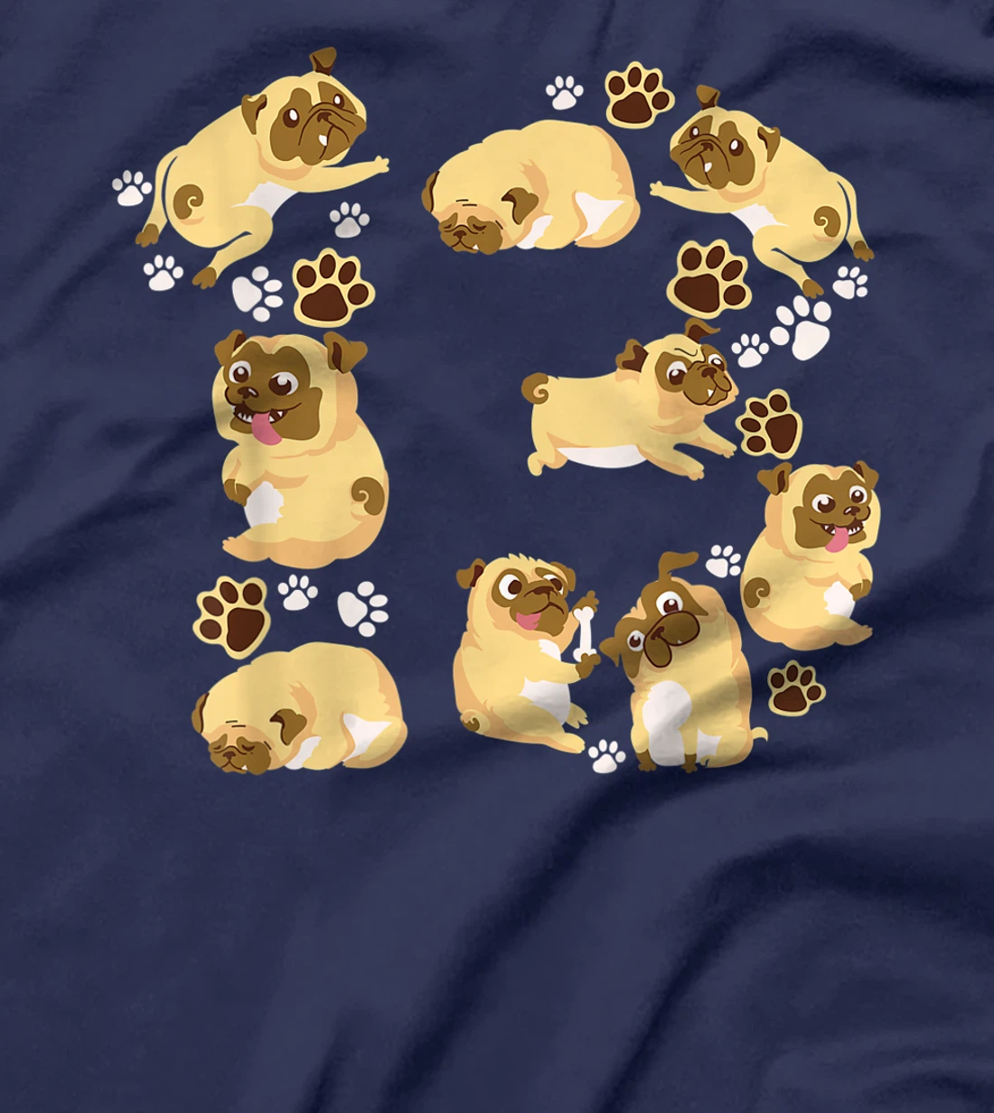 Cute Dog 13th Birthday Gift | Cool 13 Years Old Pug Boy Girl T-Shirt